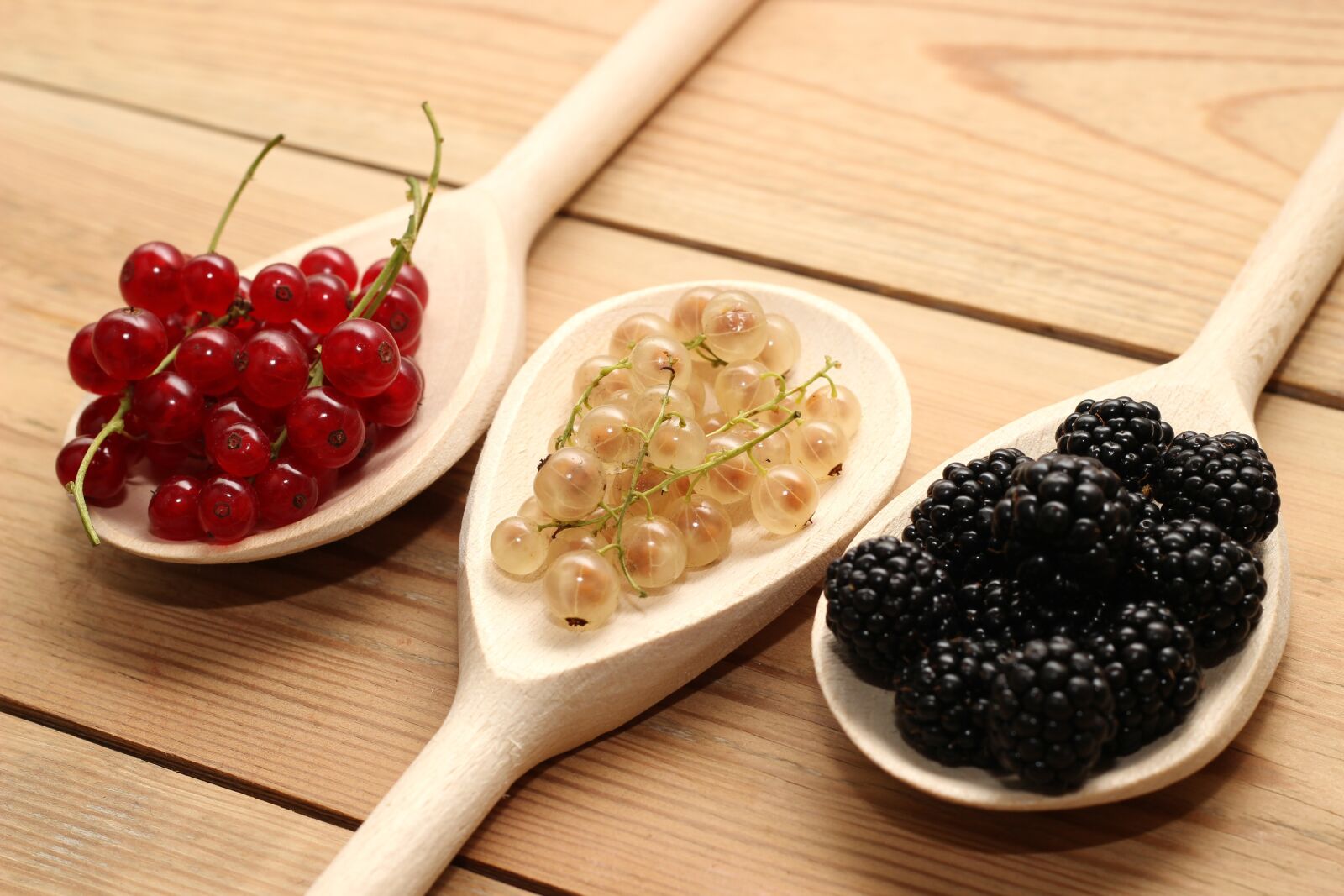 Canon EOS 600D (Rebel EOS T3i / EOS Kiss X5) + Canon EF 50mm F1.8 II sample photo. Berries, currants, red photography