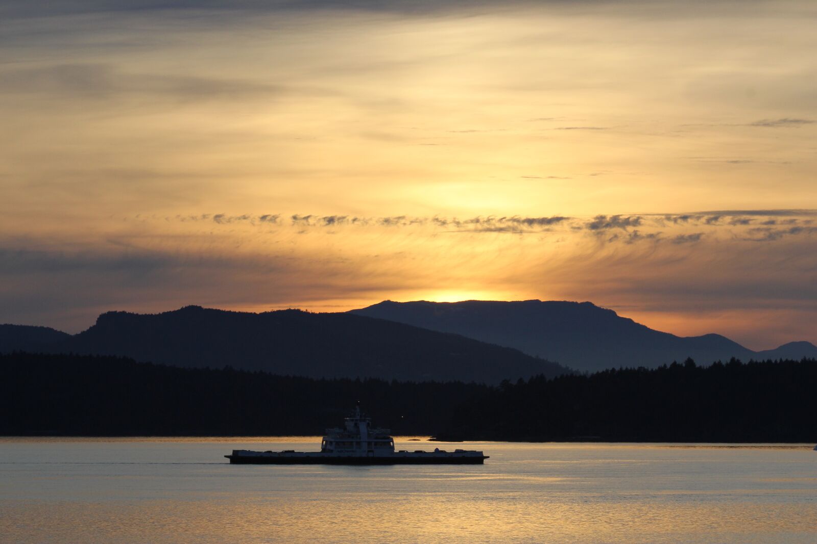 Canon EOS 550D (EOS Rebel T2i / EOS Kiss X4) sample photo. Horizon, sitting, rainforest photography