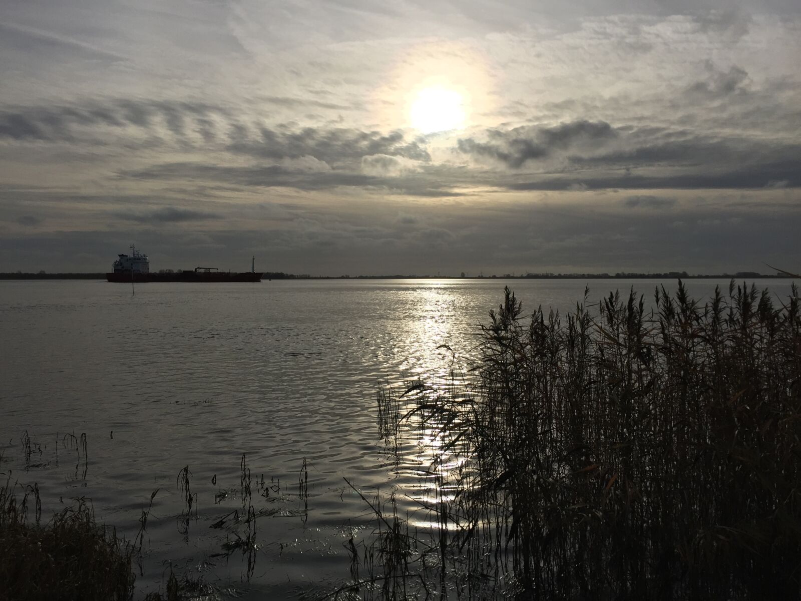 Apple iPhone 6 sample photo. Elbe, nature, river photography