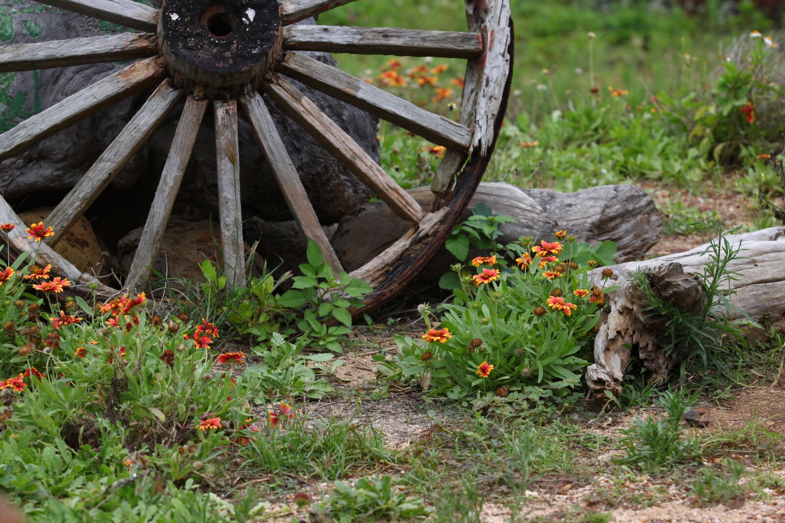 Canon EOS 500D (EOS Rebel T1i / EOS Kiss X3) sample photo. Natural, countryside, breaking san photography