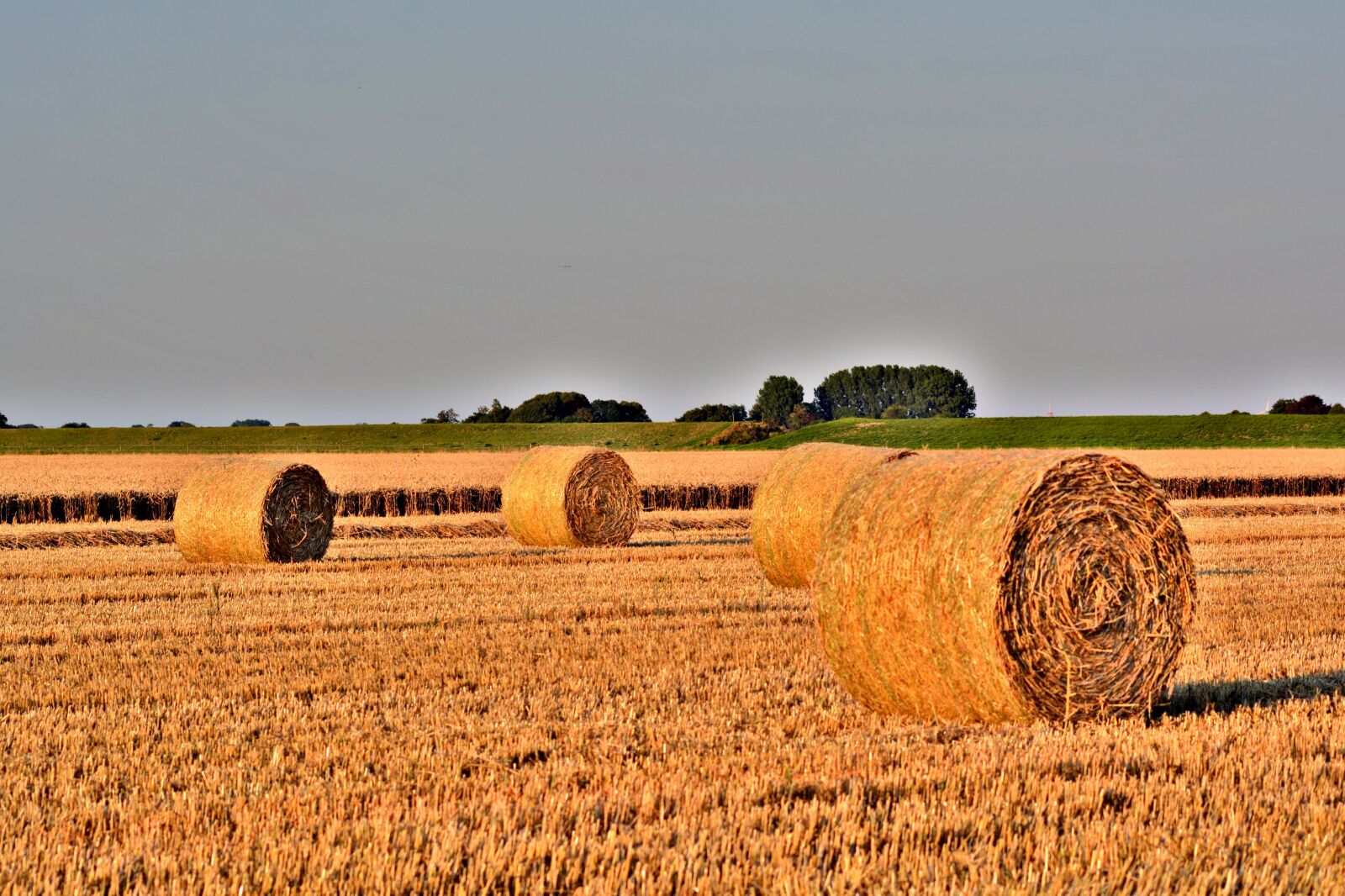 Nikon D5200 sample photo. Straw bales, harvest time photography