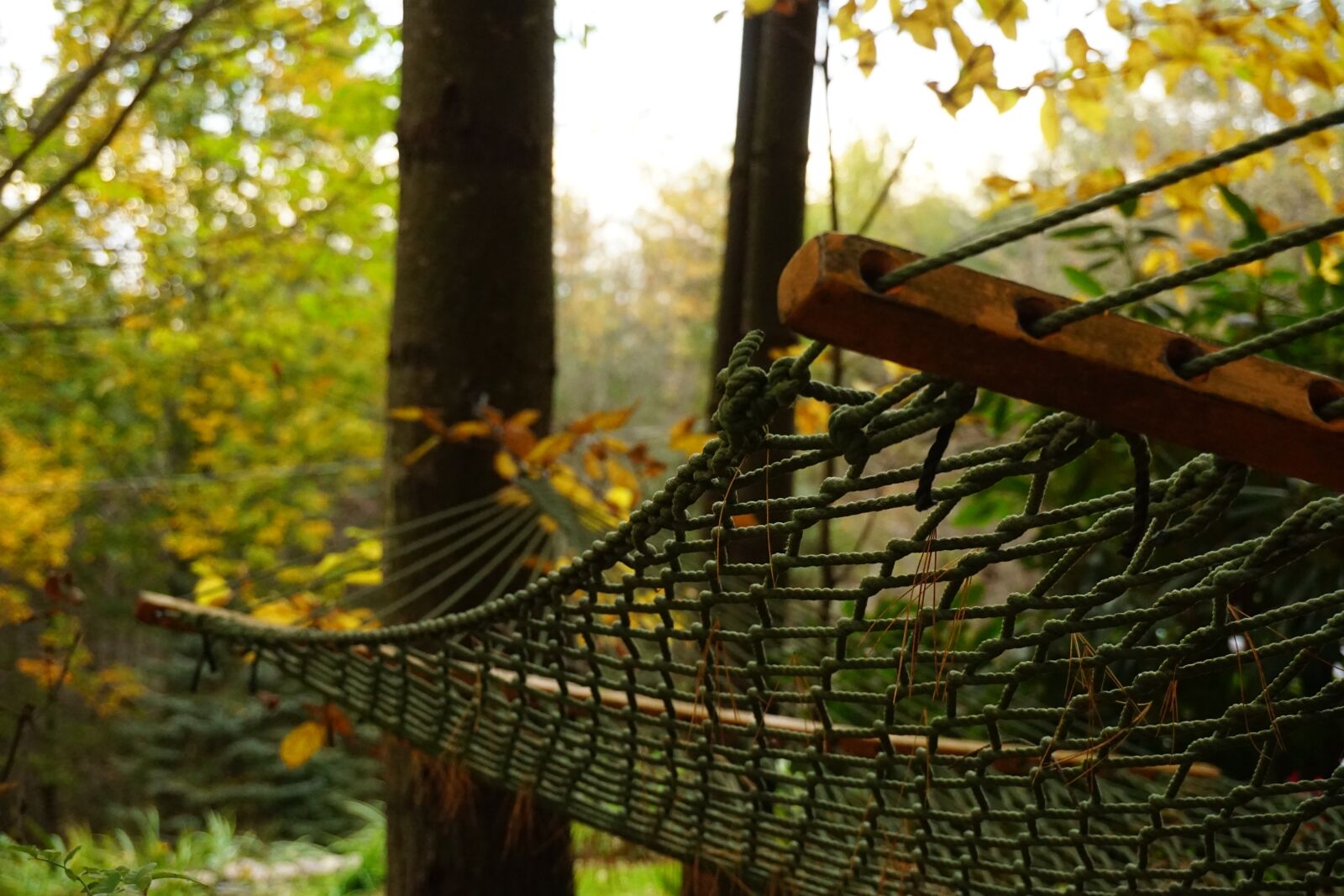Sony E 16-50mm F3.5-5.6 PZ OSS sample photo. Hammock, fall, close up photography