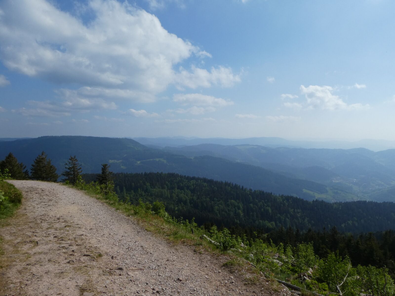 Panasonic DMC-TZ81 sample photo. Westweg, black forest, trail photography