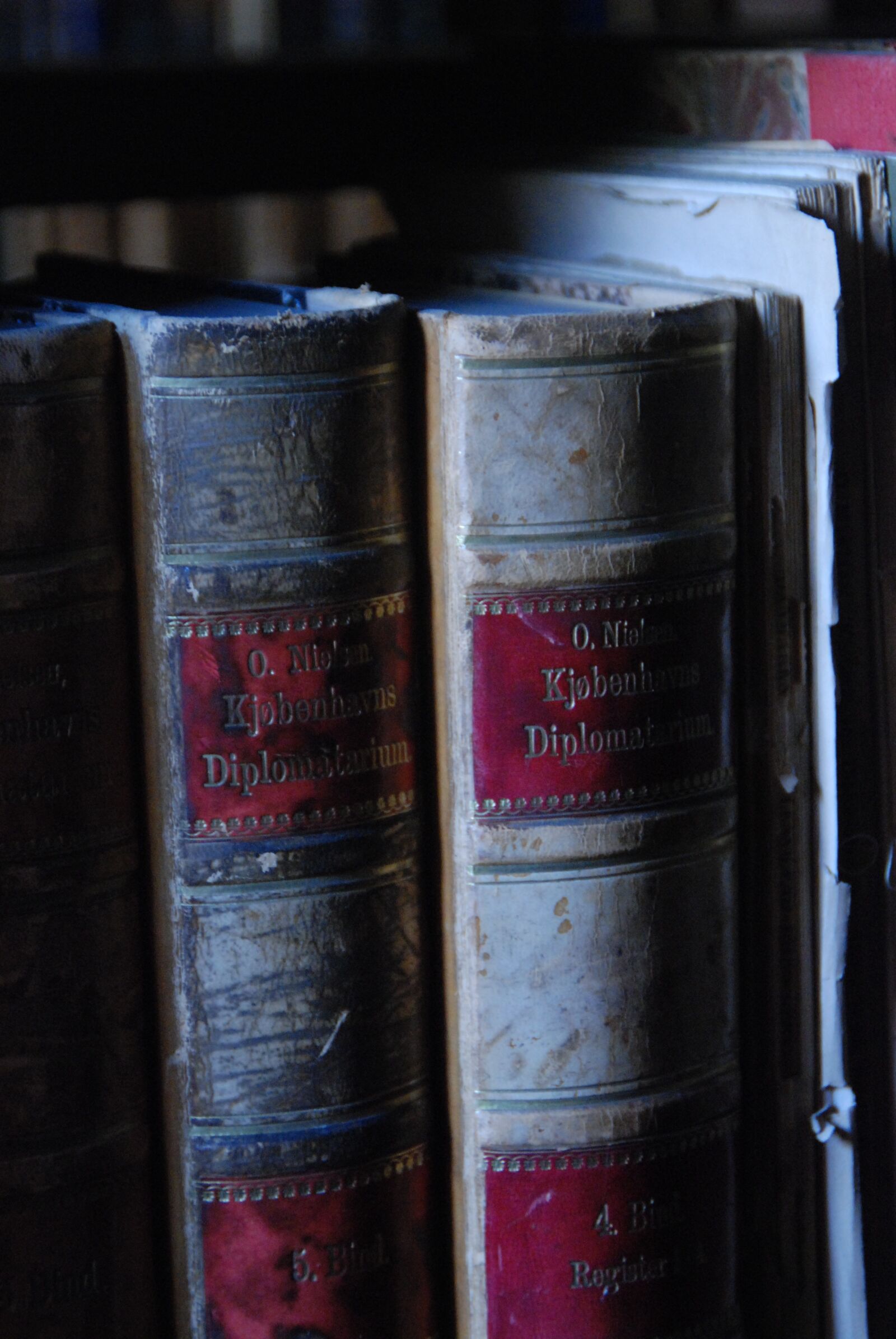 Nikon D80 sample photo. Books, old, library photography
