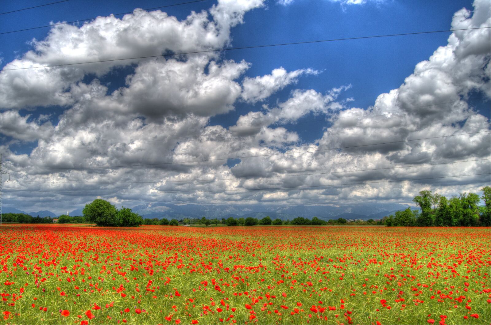 Nikon D5100 sample photo. Clouds, poppies, sky photography