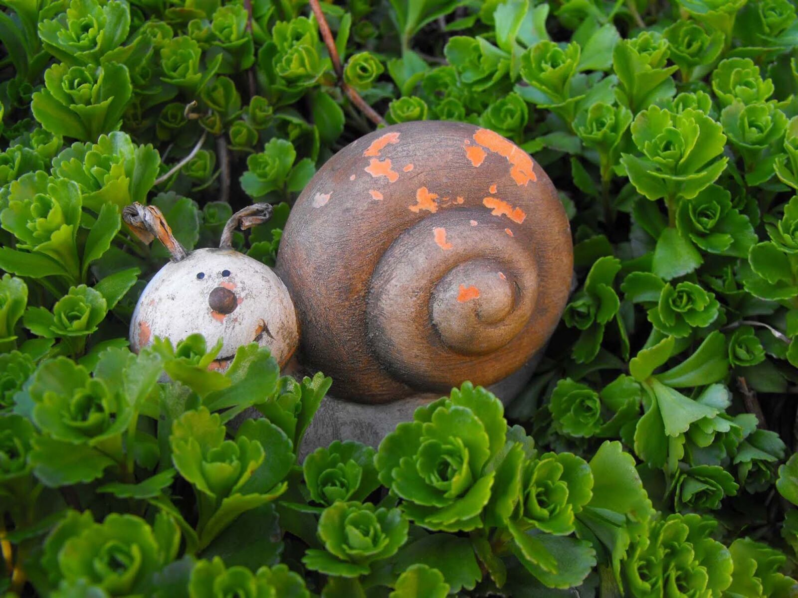 Fujifilm FinePix S1000fd sample photo. Snail, the statue of photography
