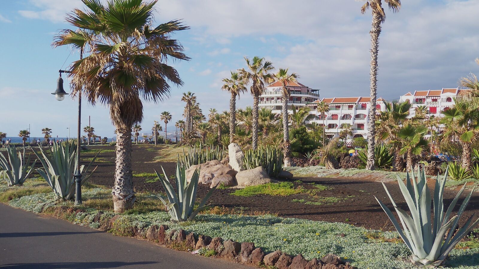 Kodak EasyShare Z915 sample photo. Palms, tenerife, spring photography