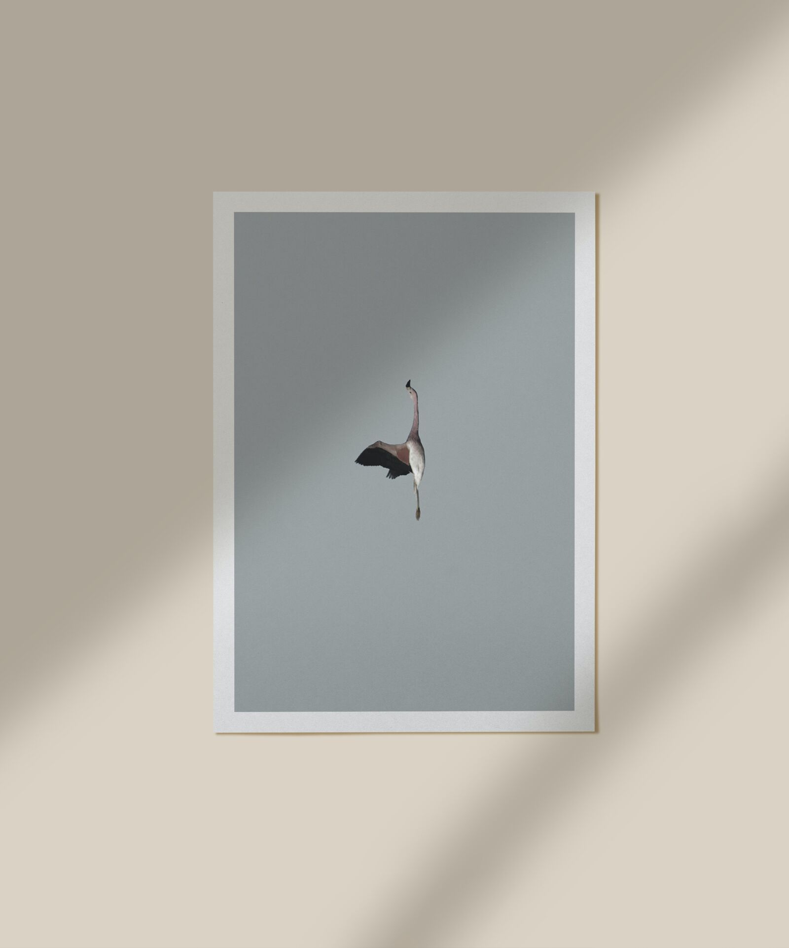 Nikon Coolpix P610 sample photo. Poster, art, home photography