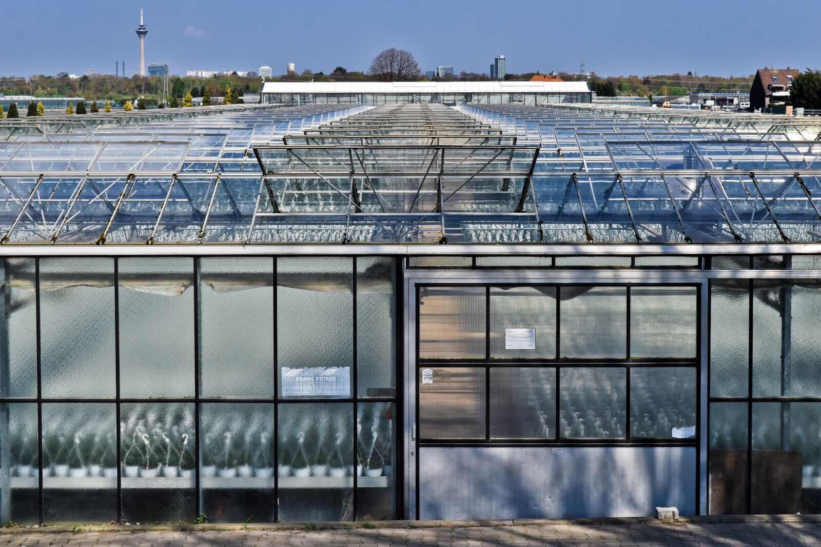 Nikon D3300 sample photo. Greenhouse, glass, building photography