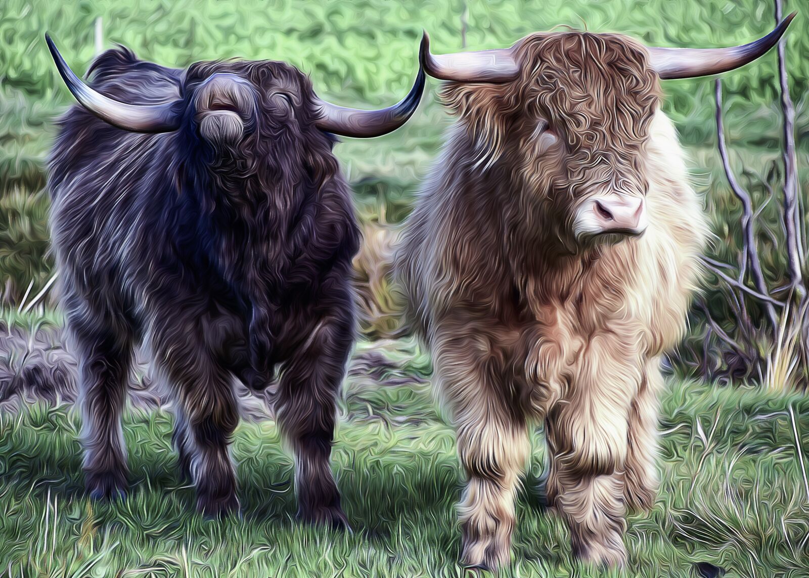 Nikon D3300 sample photo. Beef, bull, pasture photography