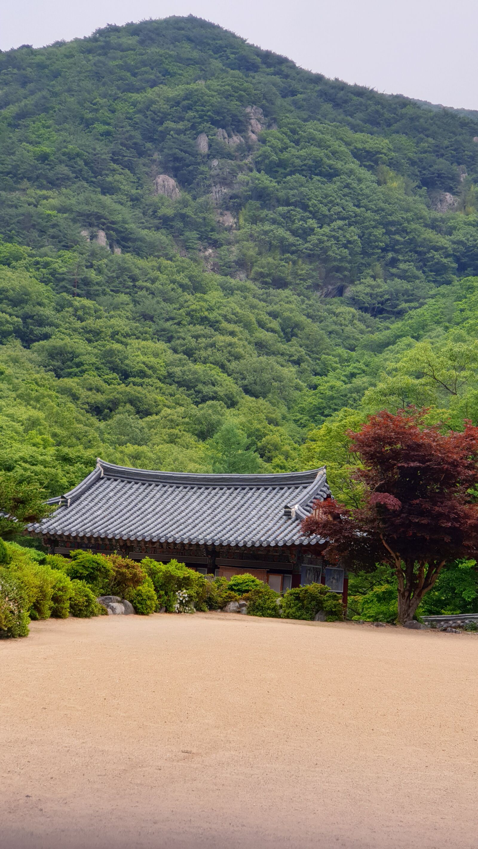 Samsung Galaxy S9+ sample photo. Temple, korea, mountains photography