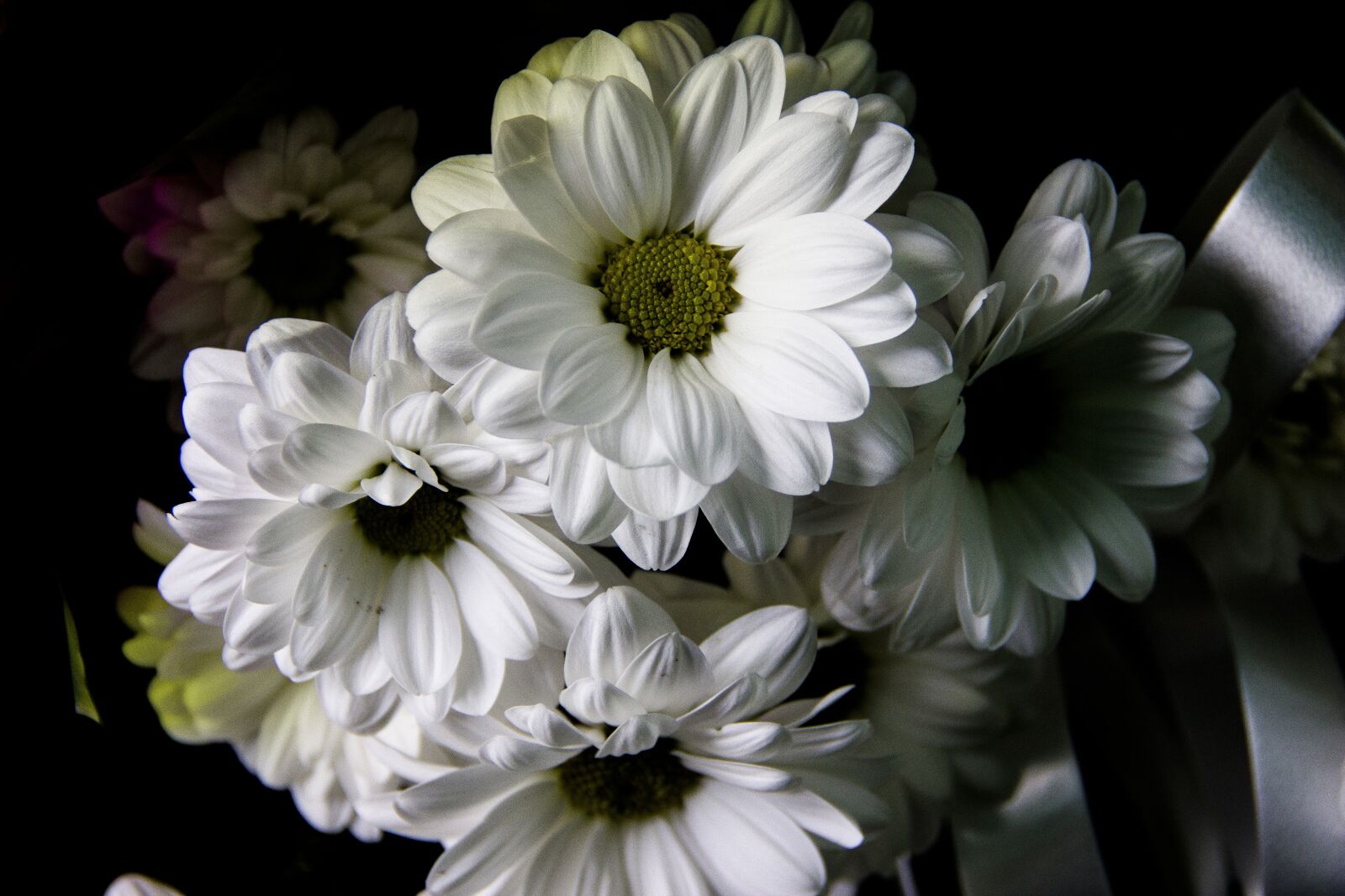Canon EOS 650D (EOS Rebel T4i / EOS Kiss X6i) sample photo. Chrysanthemum, bouquet, krupnyj plan photography