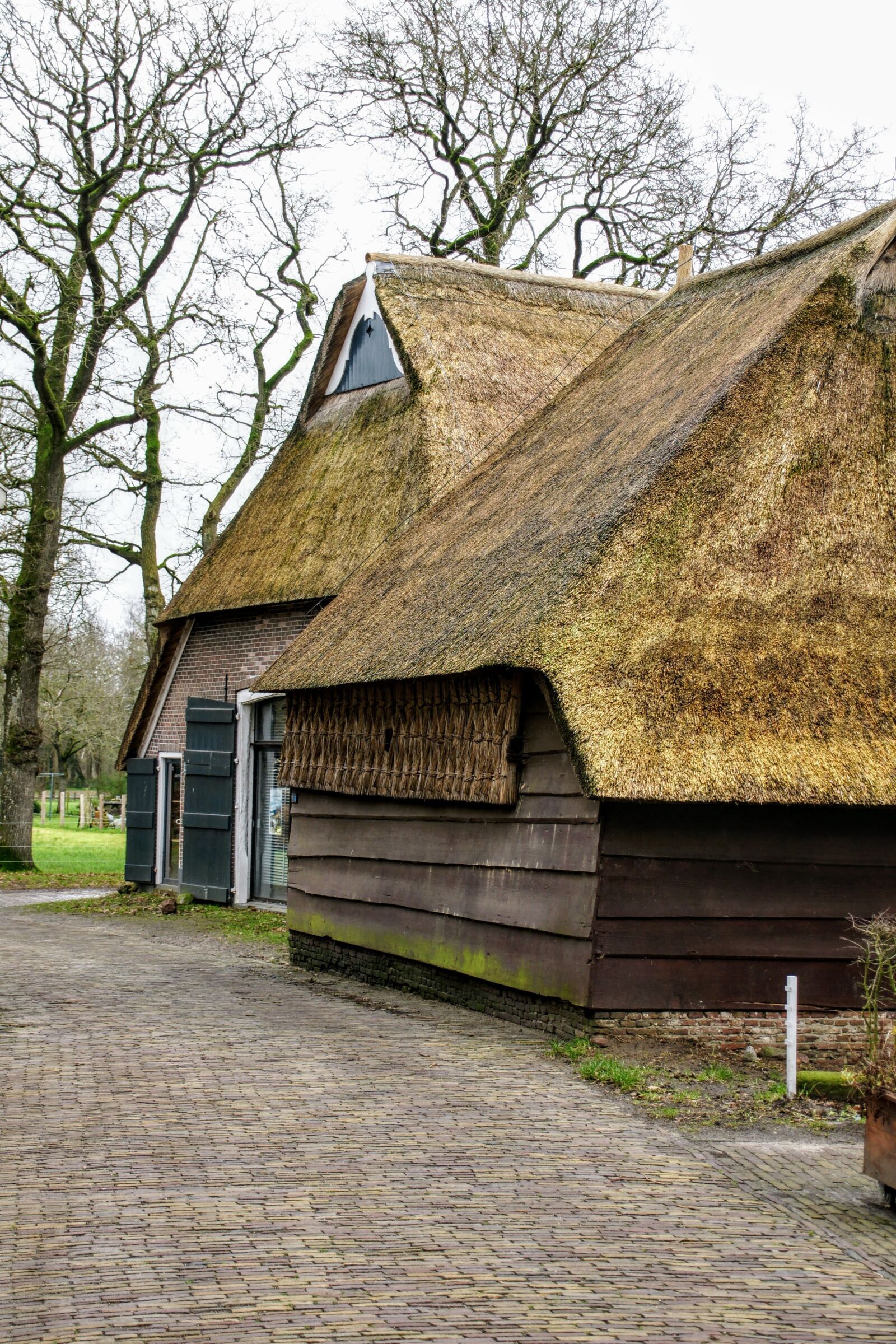 Sony Alpha DSLR-A700 sample photo. Farm, orvelte, drenthe photography