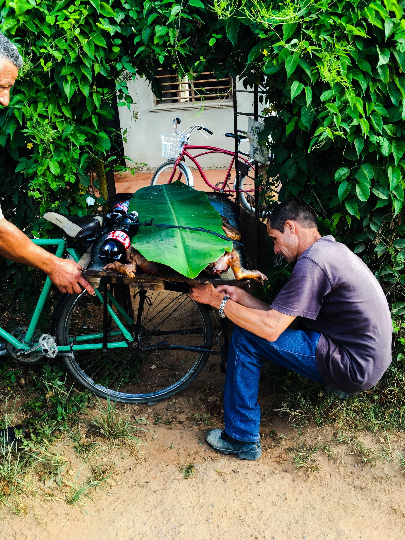 iPhone 6s back camera 4.15mm f/2.2 sample photo. Cuba, pork, bike photography