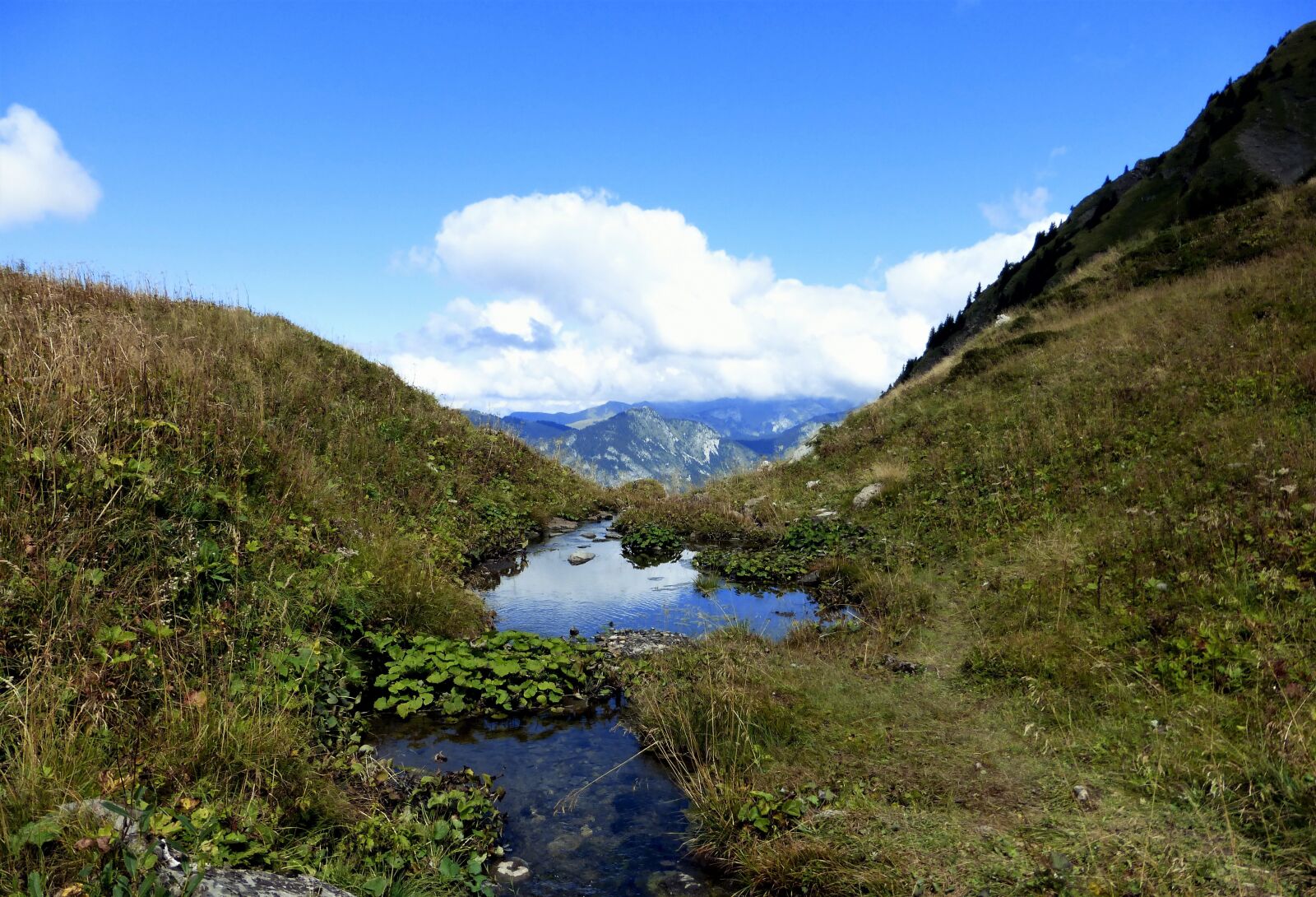 Panasonic Lumix DMC-ZS25 (Lumix DMC-TZ35) sample photo. France, alpe, nature photography