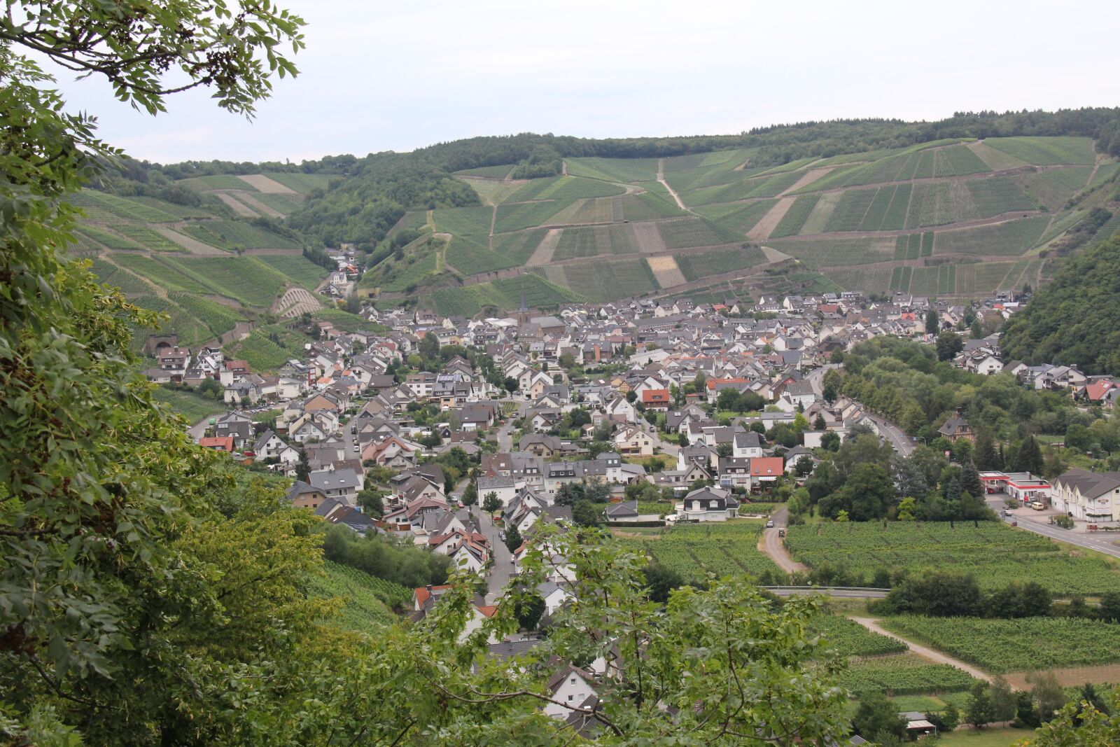 Canon EOS 550D (EOS Rebel T2i / EOS Kiss X4) sample photo. Vineyards, place, summer photography
