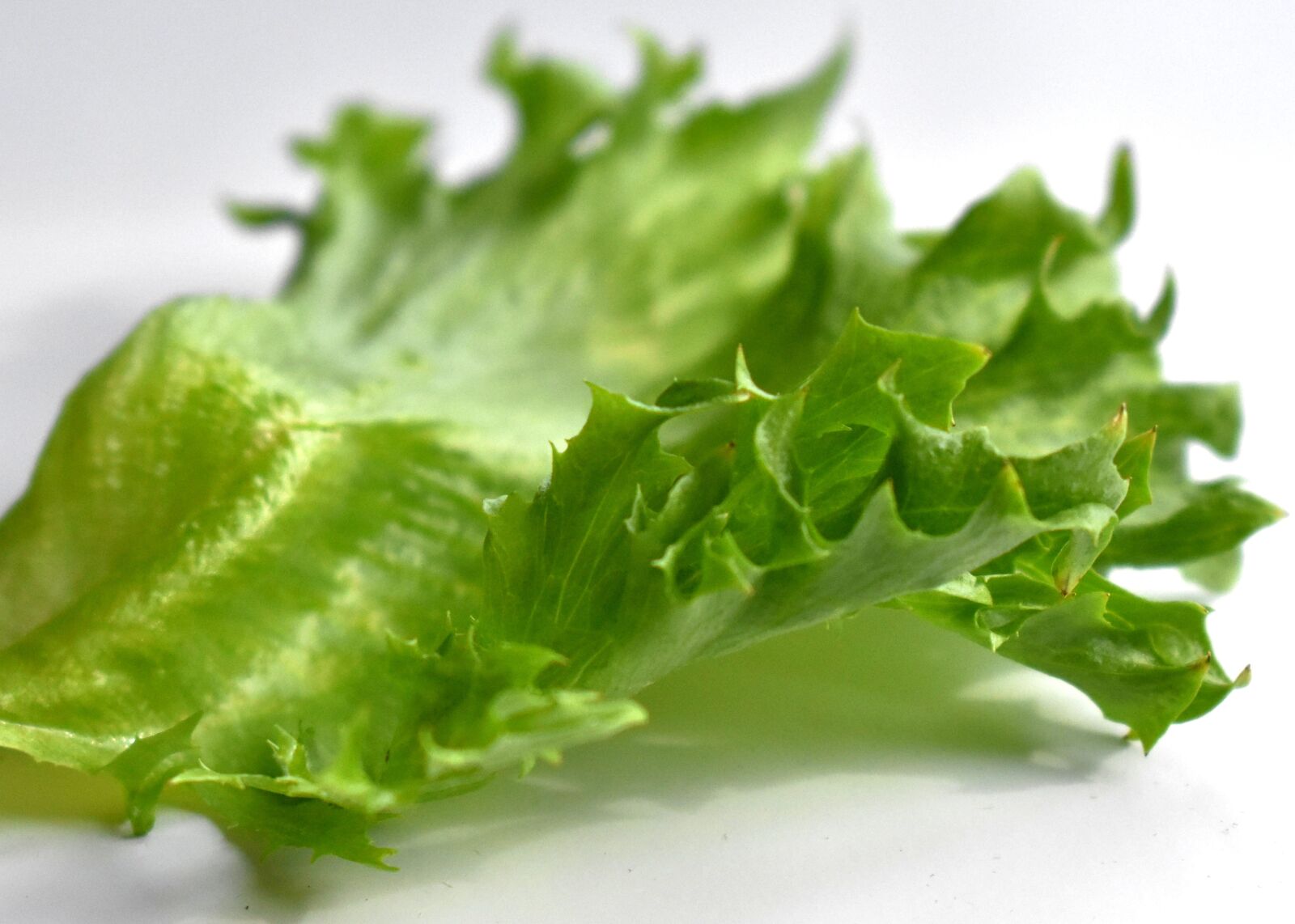 Nikon D3400 sample photo. Salad, green, nutrition photography