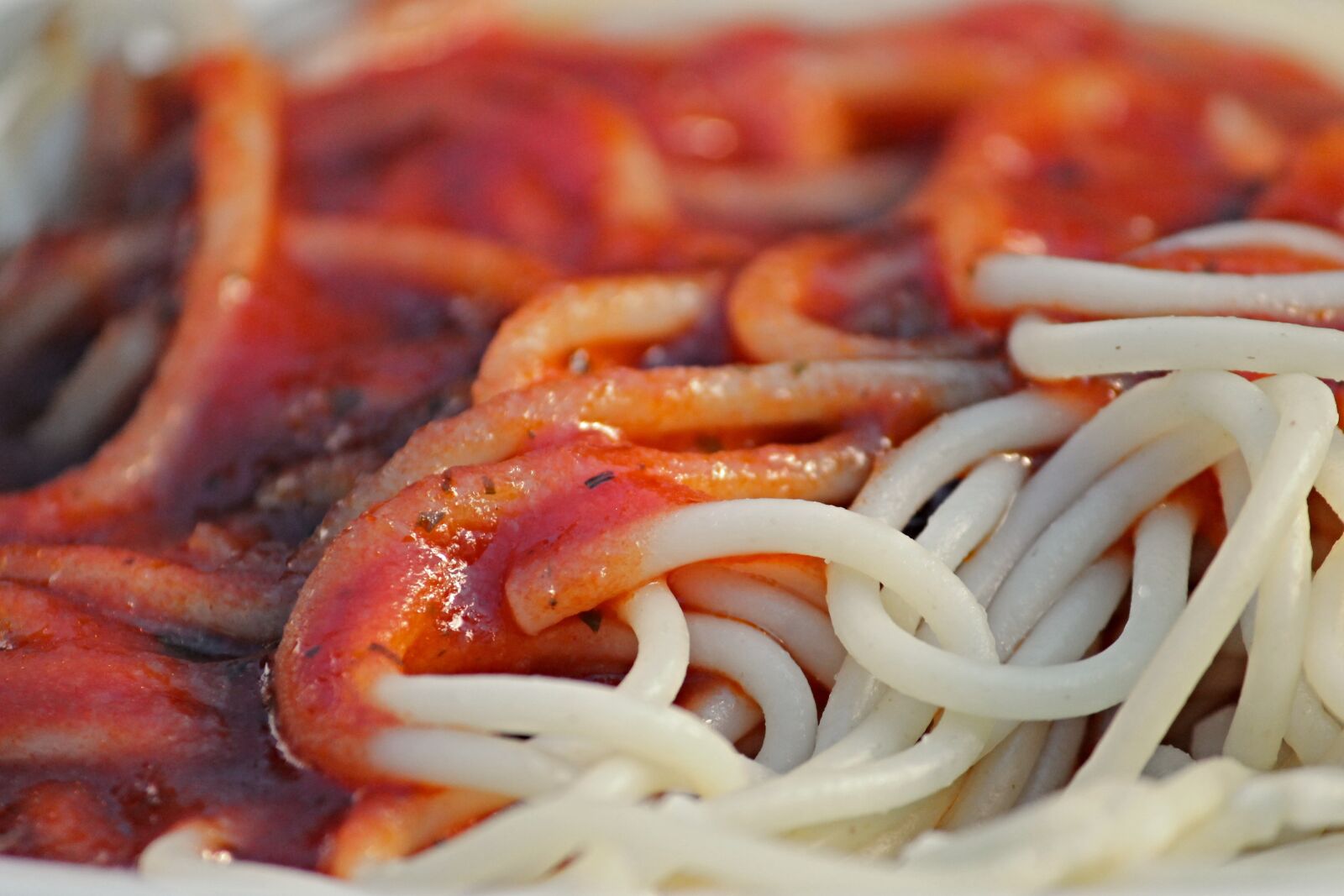 Canon EOS 1100D (EOS Rebel T3 / EOS Kiss X50) sample photo. Spaghetti, tomato sauce, eat photography