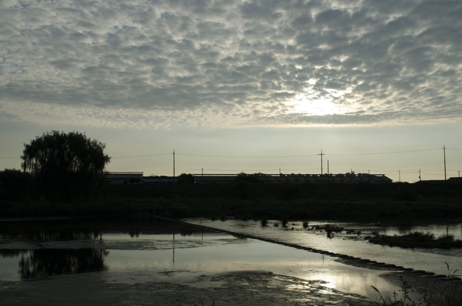 Nikon D5100 sample photo. Scenery, negatives, backlight photography