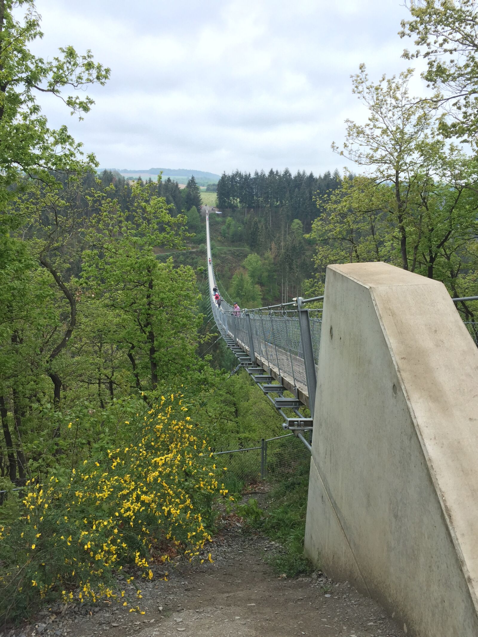 iPhone 6 back camera 4.15mm f/2.2 sample photo. Suspension bridge, geyerlay, hunsr photography