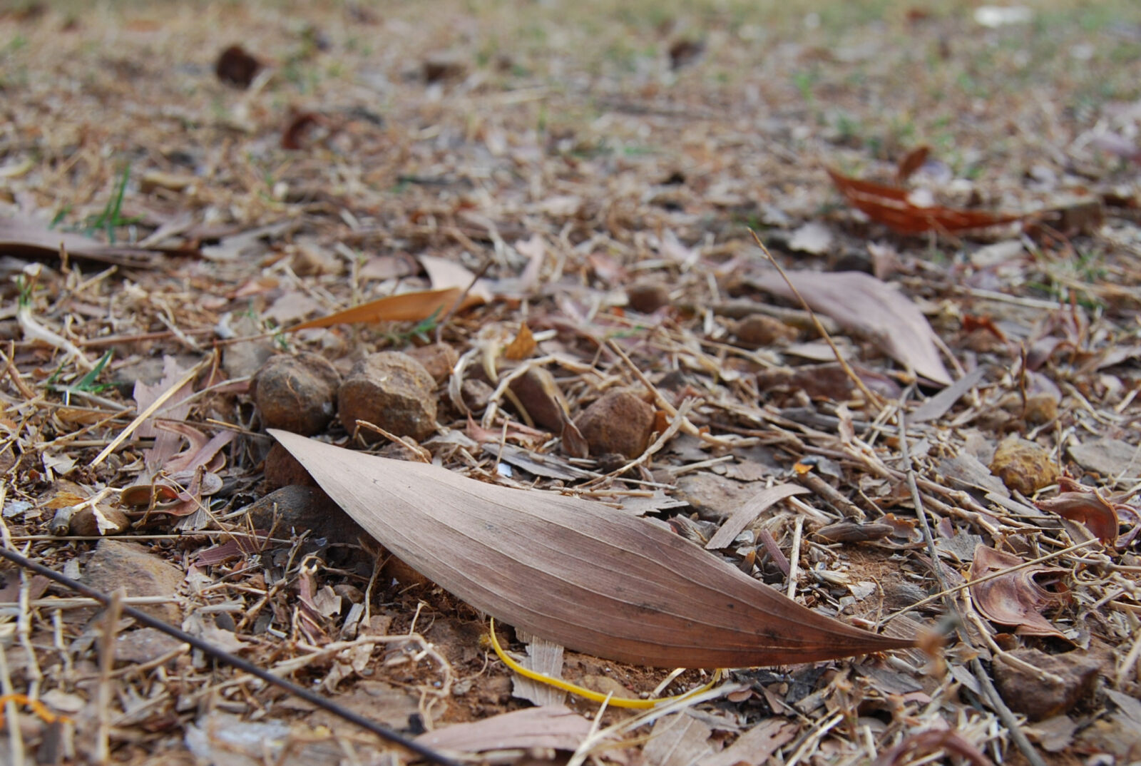 Nikon D40X sample photo. Ground, hill, india, soil photography