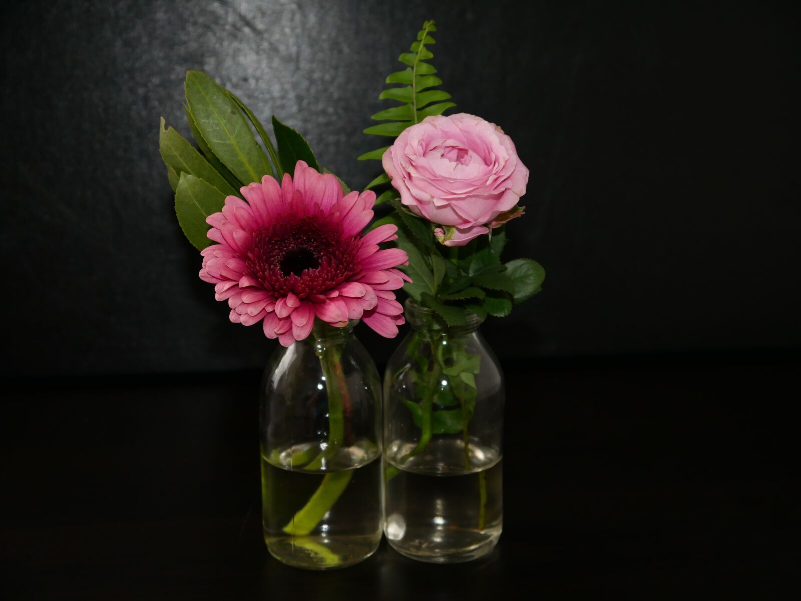 Panasonic DMC-G70 sample photo. Flowers, rose, nature photography