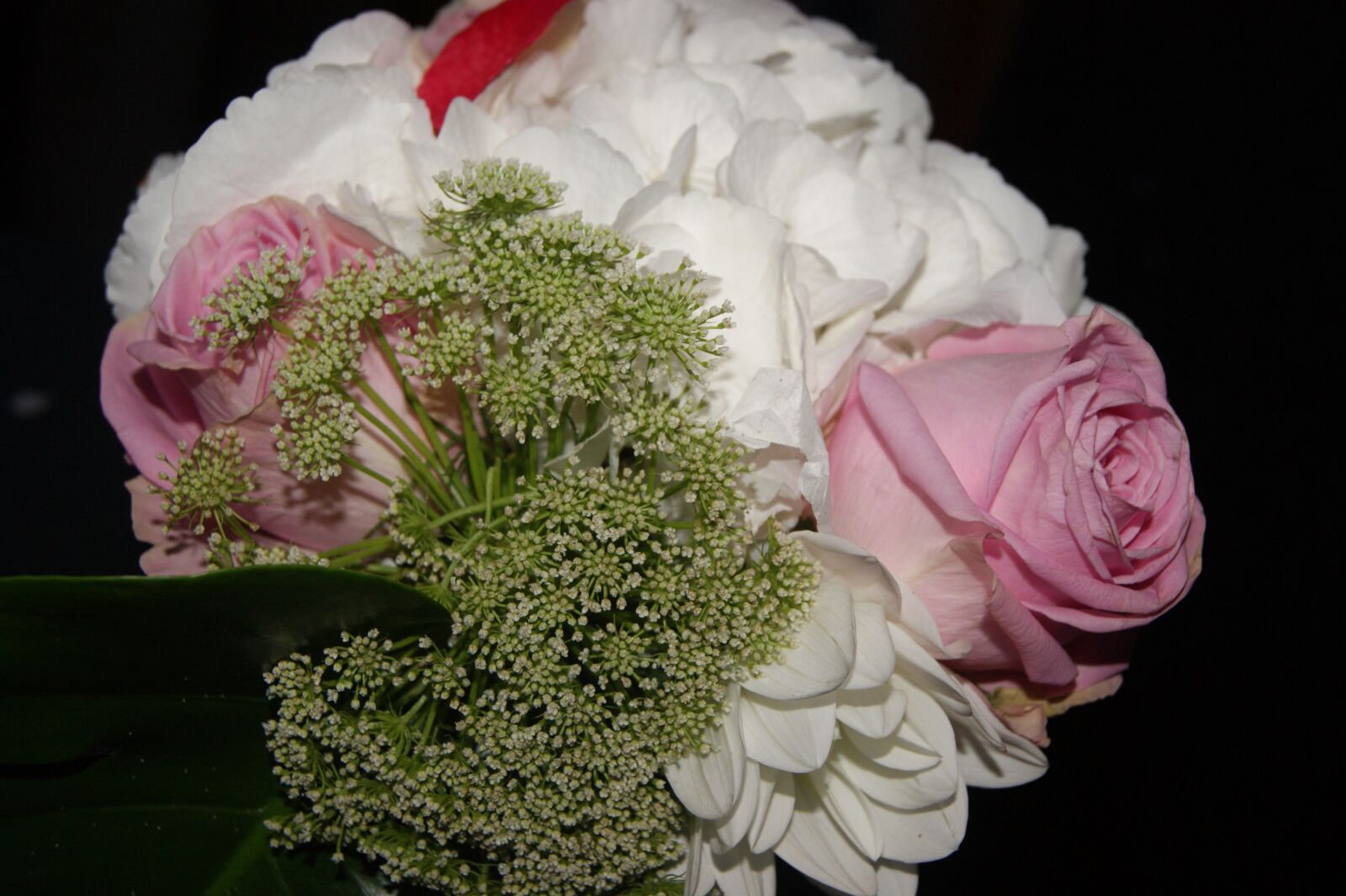 Sony Alpha DSLR-A290 sample photo. Birthday bouquet, birthday, bouquet photography