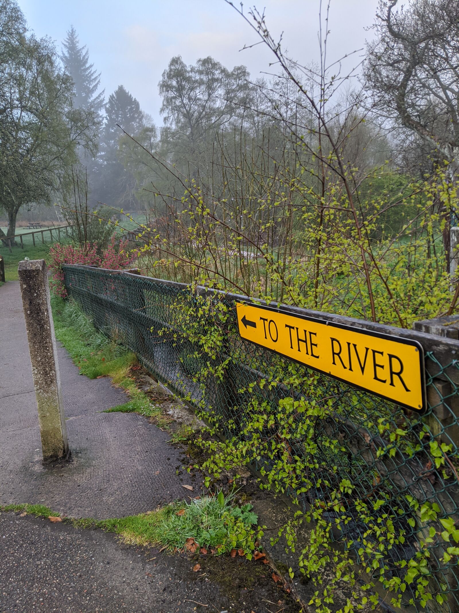 Google Pixel 3 sample photo. To the river, sign photography