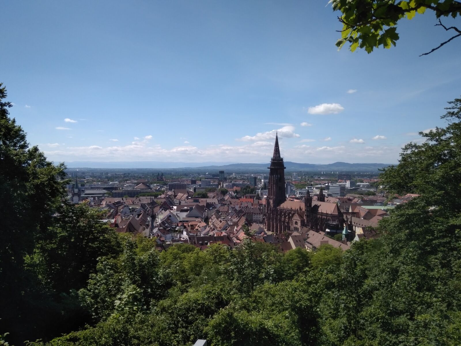 Xiaomi Redmi 4 Pro sample photo. Freiburg, black forest, m photography