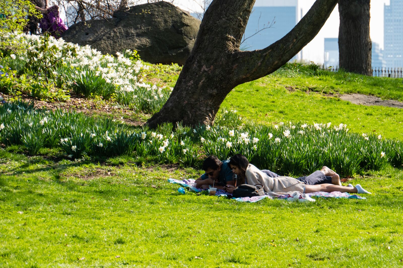Panasonic Lumix DC-G9 sample photo. Garden, relaxation, couple photography