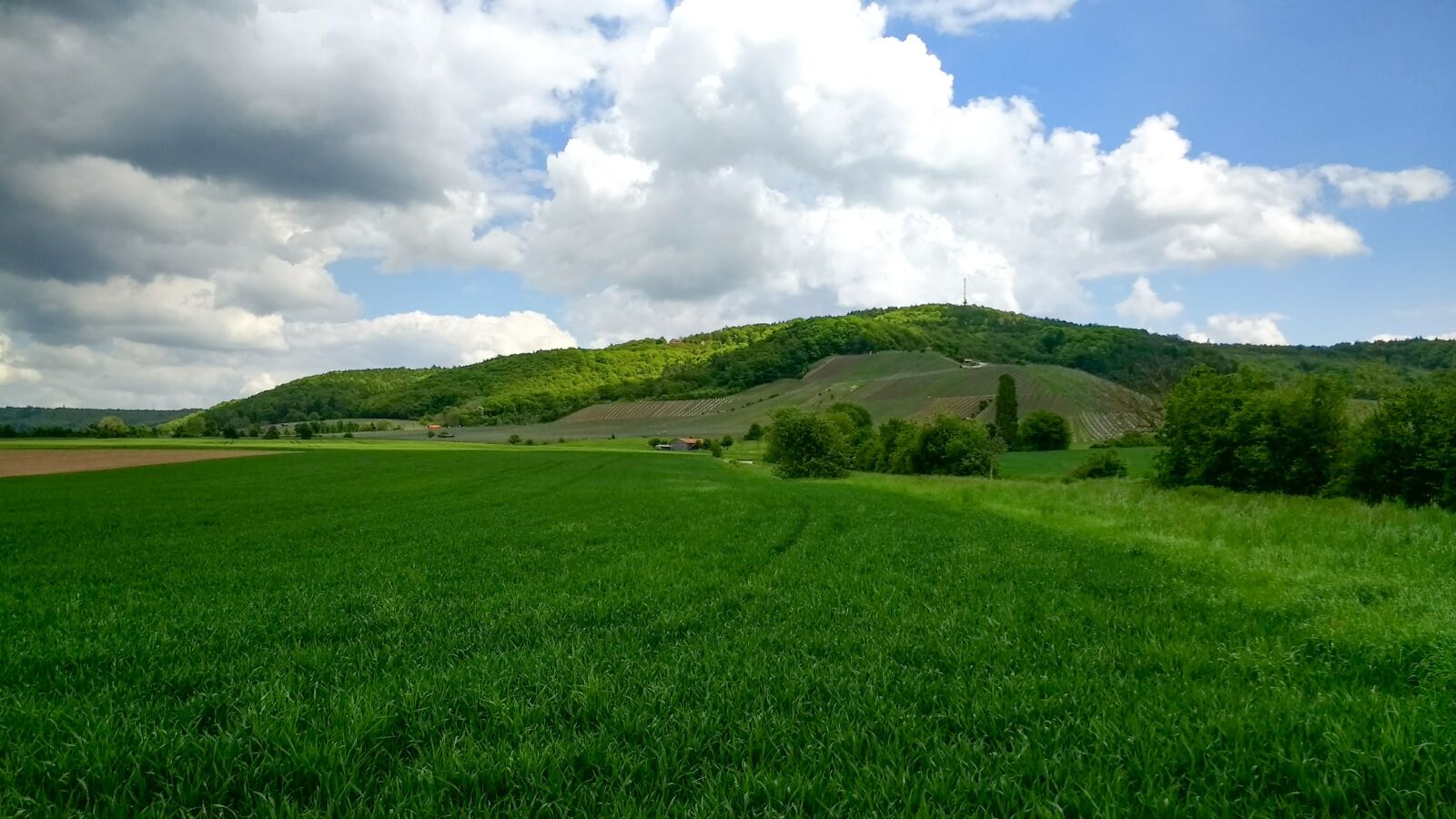 Motorola Moto G (4) sample photo. Landscape, nature, sky photography