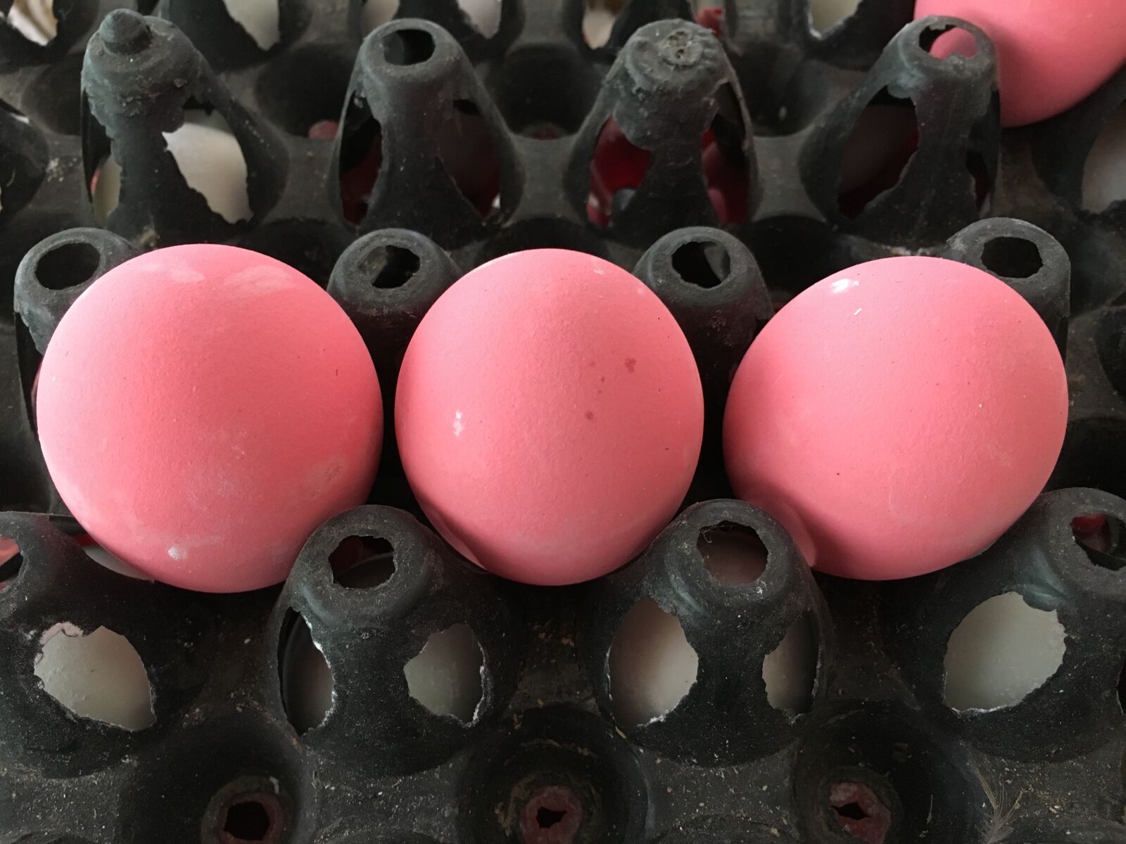 Apple iPhone 6s sample photo. Egg, pink eggs, food photography