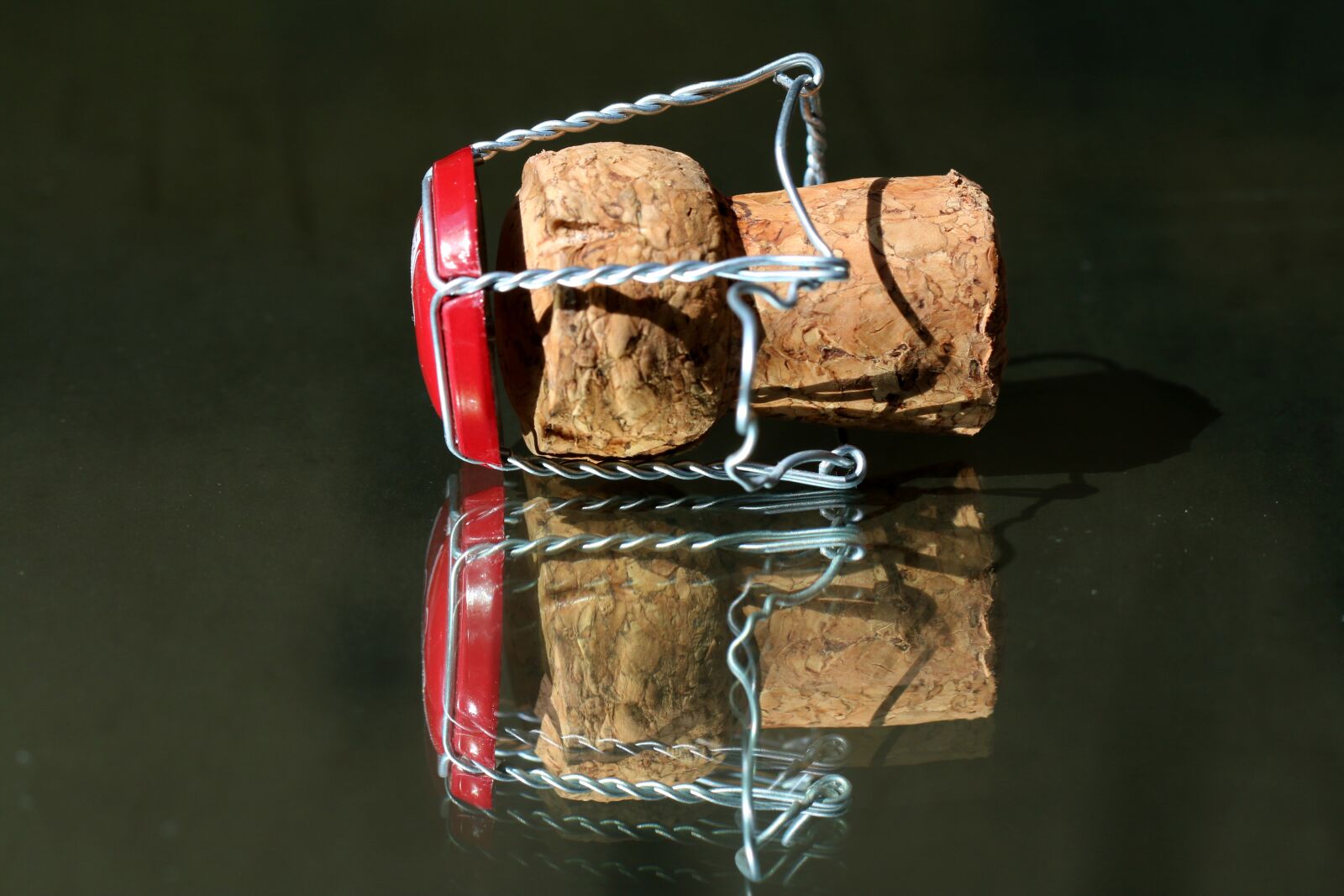 Canon EF 100mm F2.8L Macro IS USM sample photo. Cap, cork, wine photography