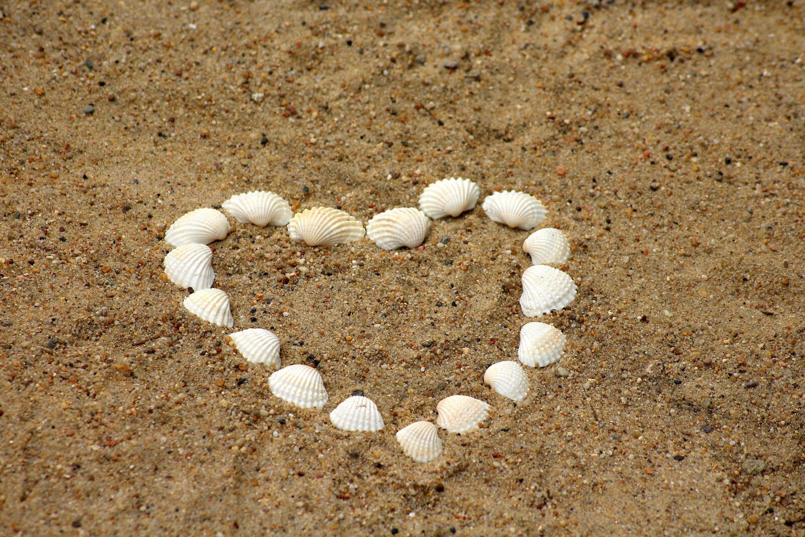 Canon EOS 1200D (EOS Rebel T5 / EOS Kiss X70 / EOS Hi) sample photo. Heart, shells, sand photography