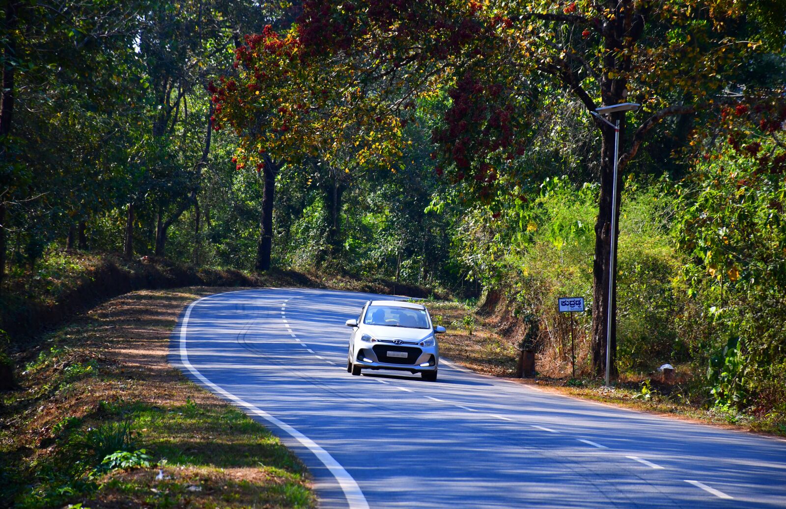 Nikon D7500 sample photo. Karnataka road, karnataka forest photography
