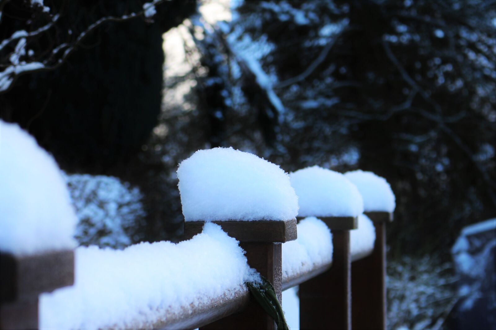 Canon EOS 700D (EOS Rebel T5i / EOS Kiss X7i) sample photo. Snow, snow cover, snow photography