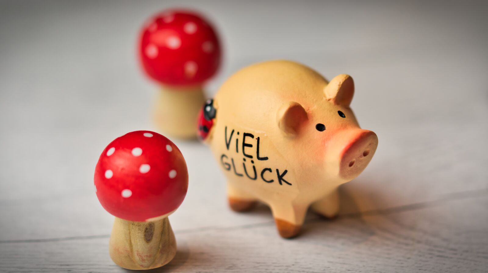 Canon EOS 200D (EOS Rebel SL2 / EOS Kiss X9) sample photo. Lucky pig, luck, lucky photography