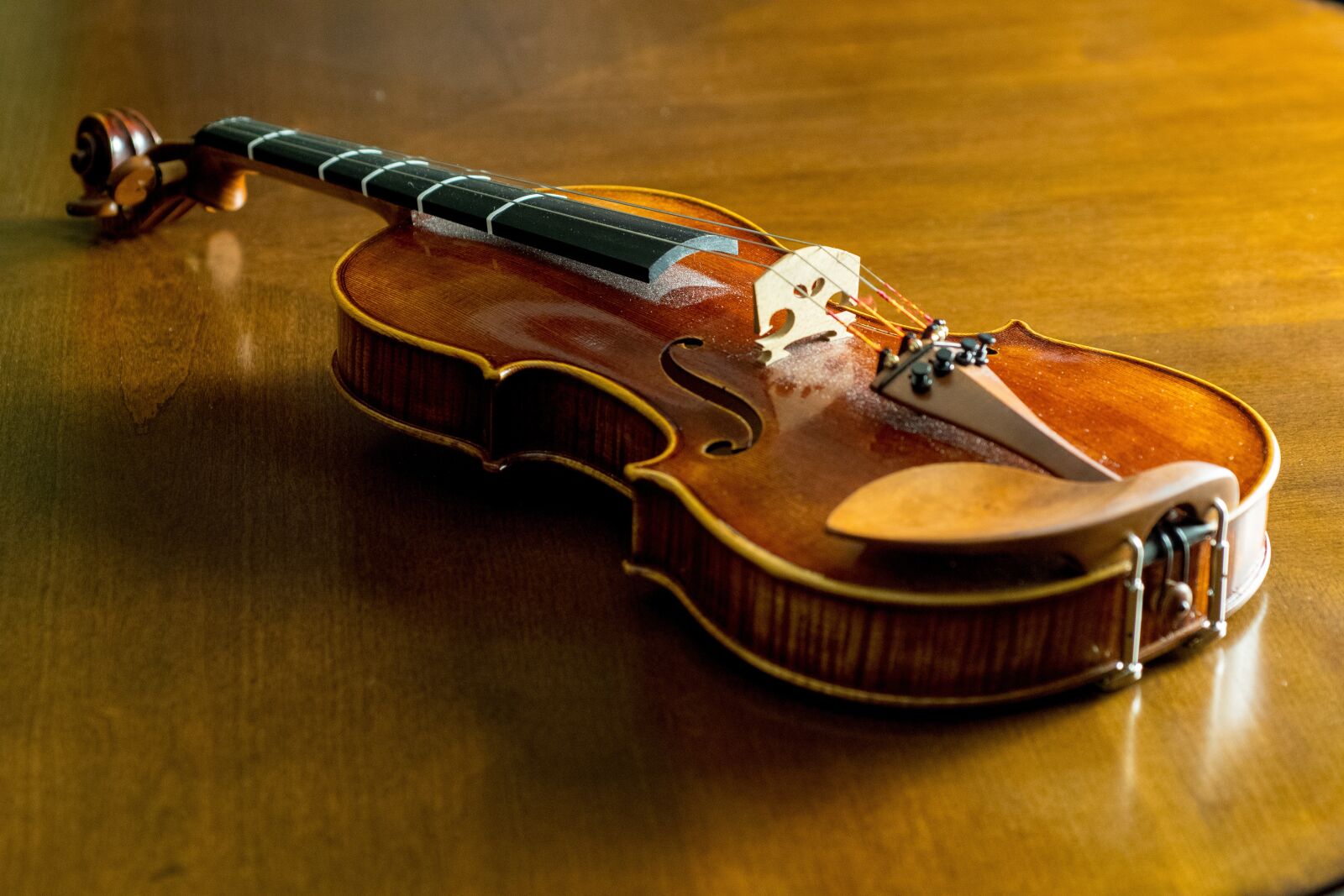 Nikon D500 sample photo. Wood, bowed stringed instrument photography