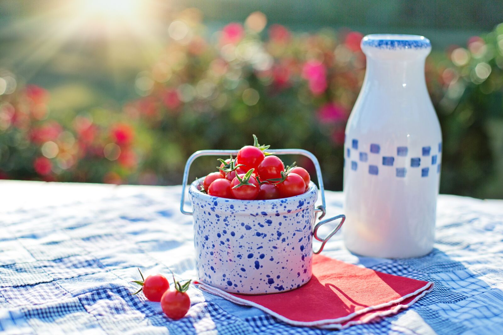 Canon EF 50mm F1.4 USM sample photo. Cherry tomatoes, tomatoes, ripe photography