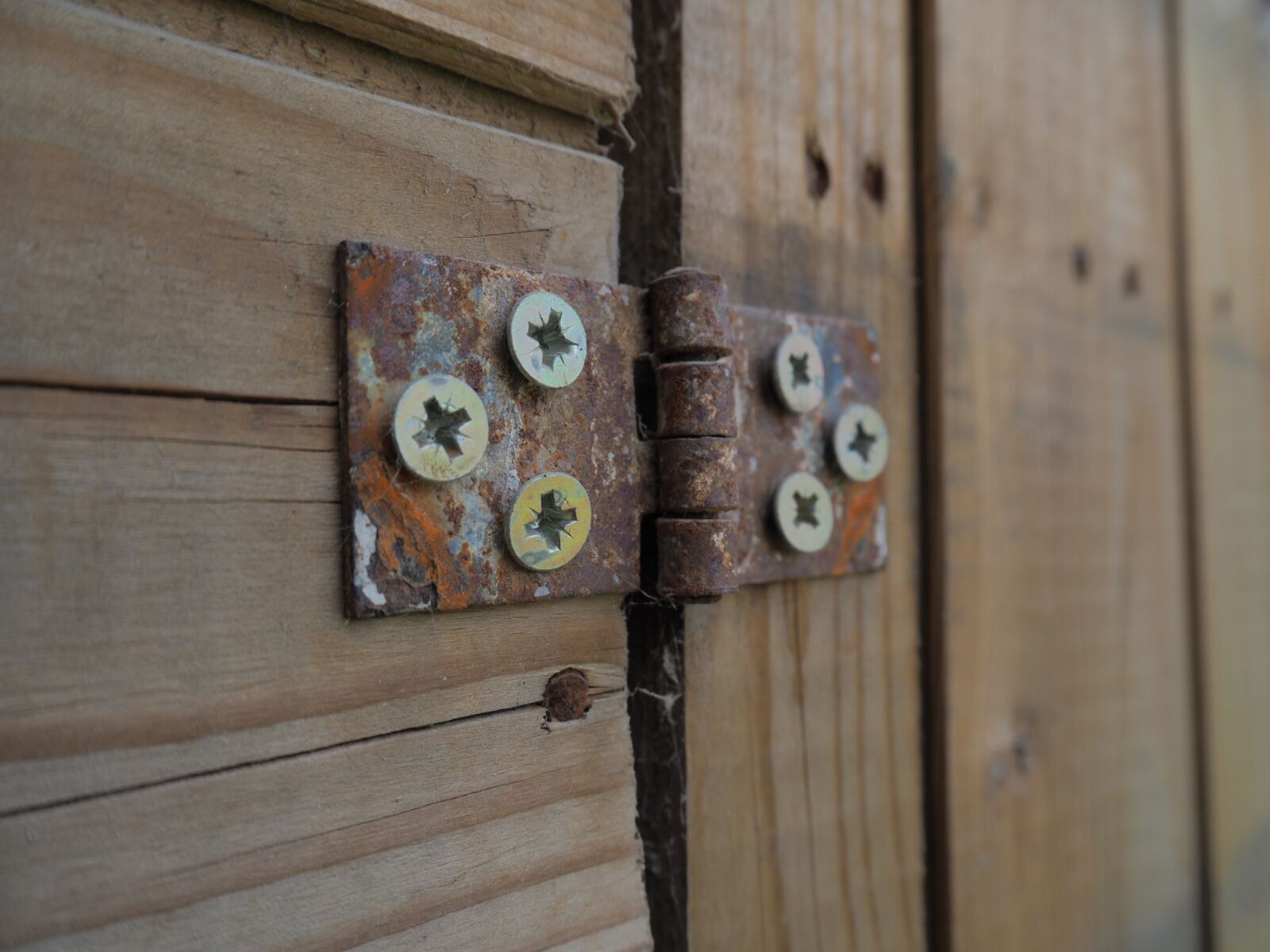 Olympus OM-D E-M10 III sample photo. Wood, woods, old photography