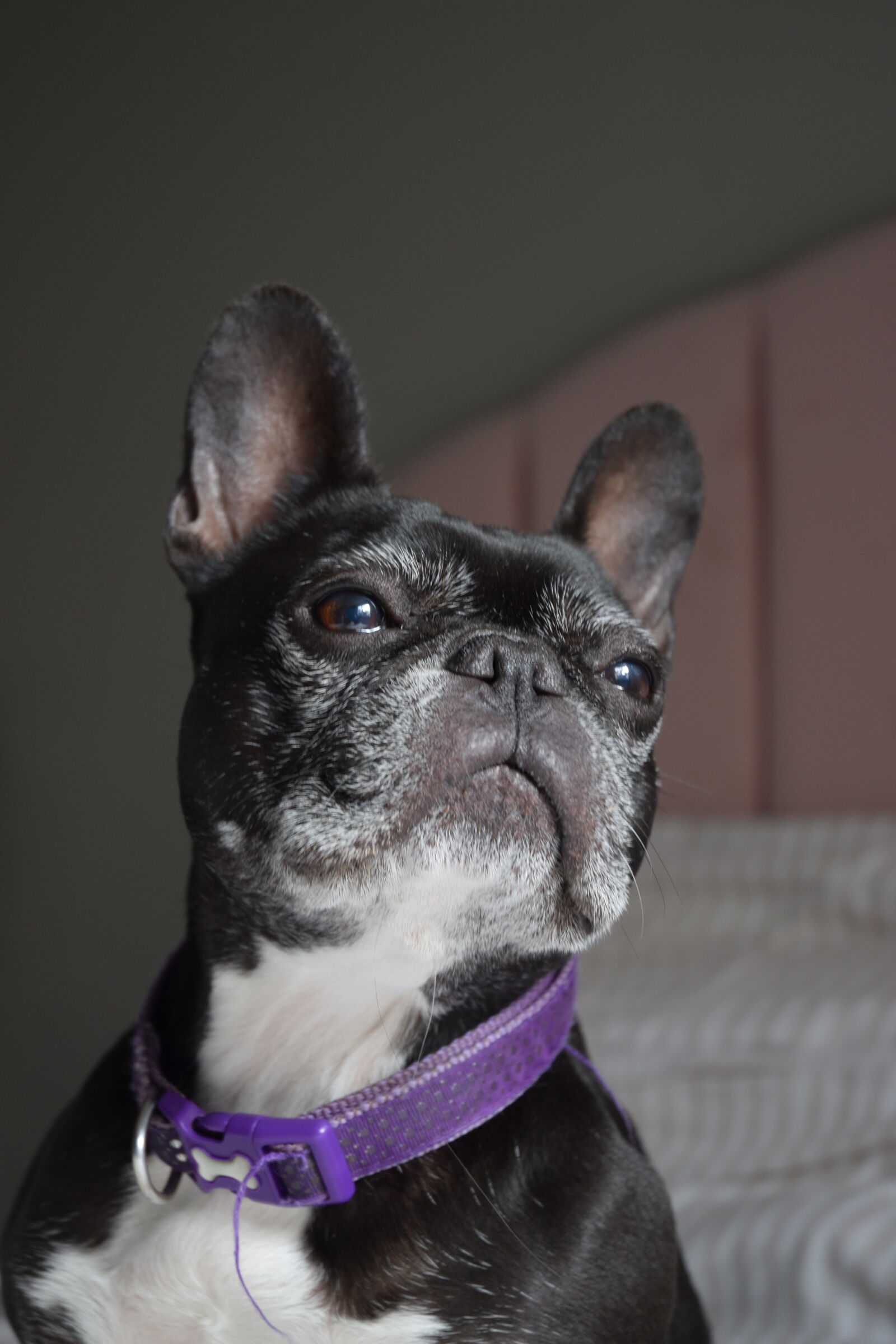 Nikon D3300 sample photo