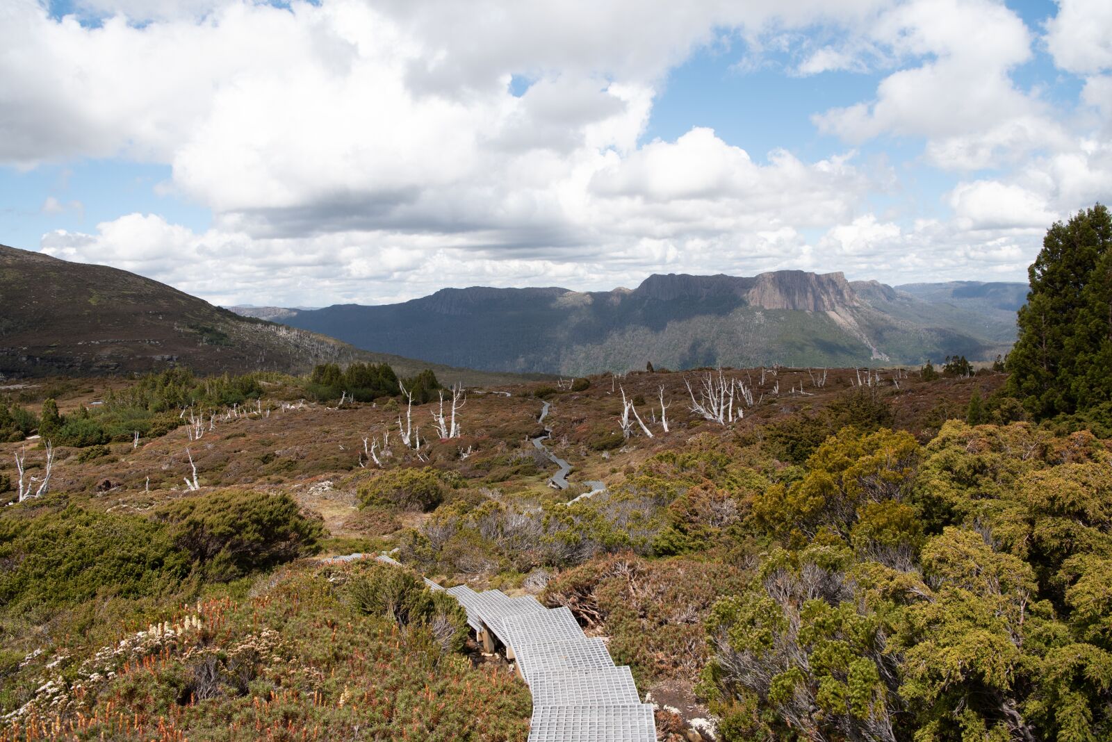 Nikon D750 sample photo. Overland track, tasmania, nature photography