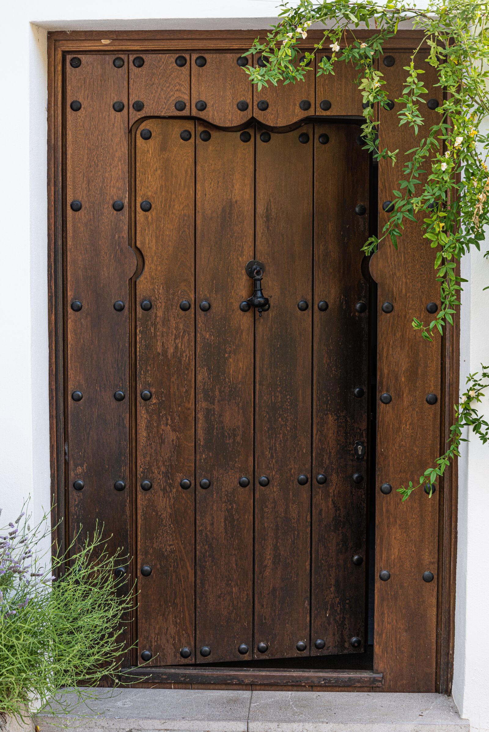 Nikon D810 sample photo. Door, wooden, building photography
