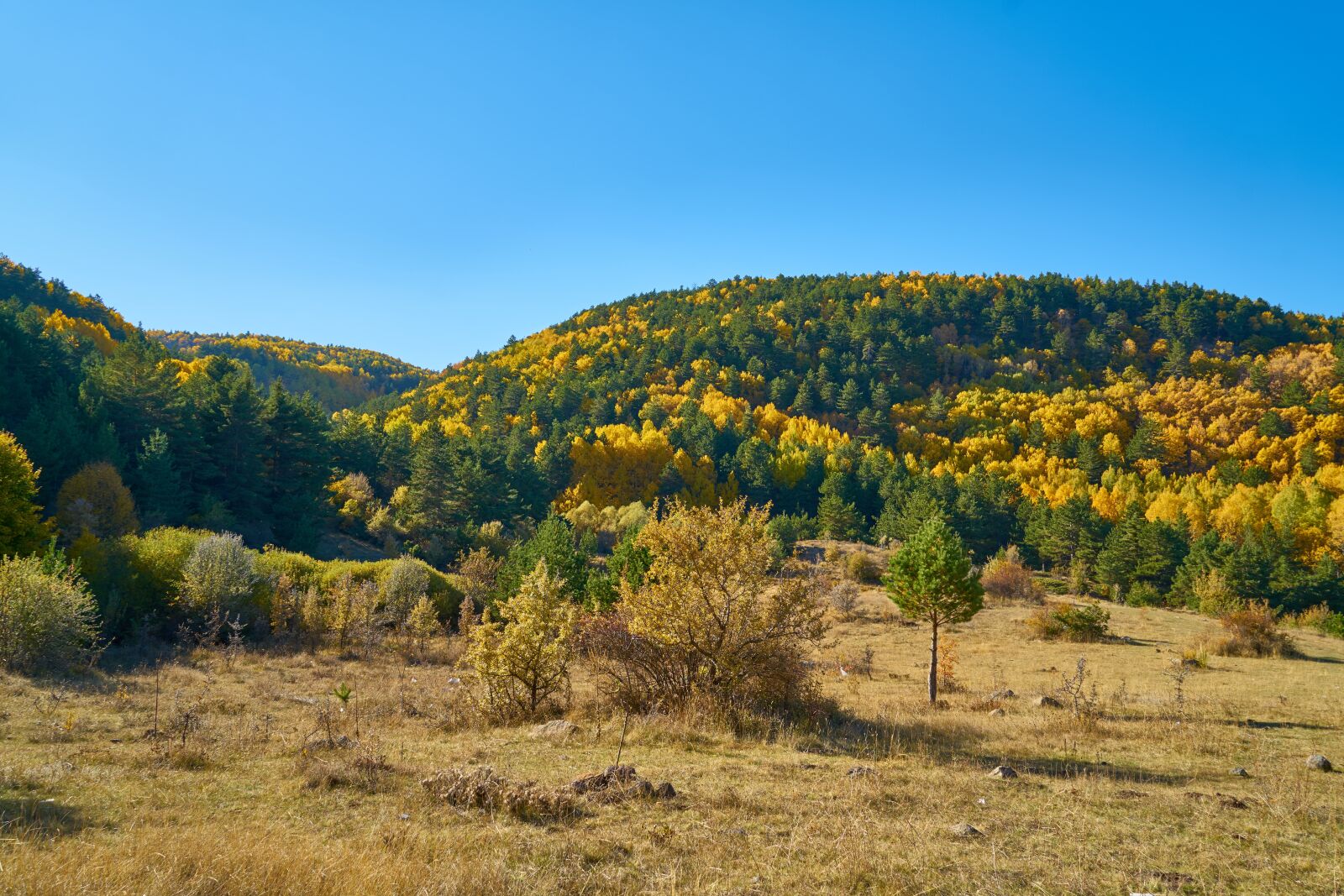 Sony a7R II sample photo. Mountains, trees, autumn photography