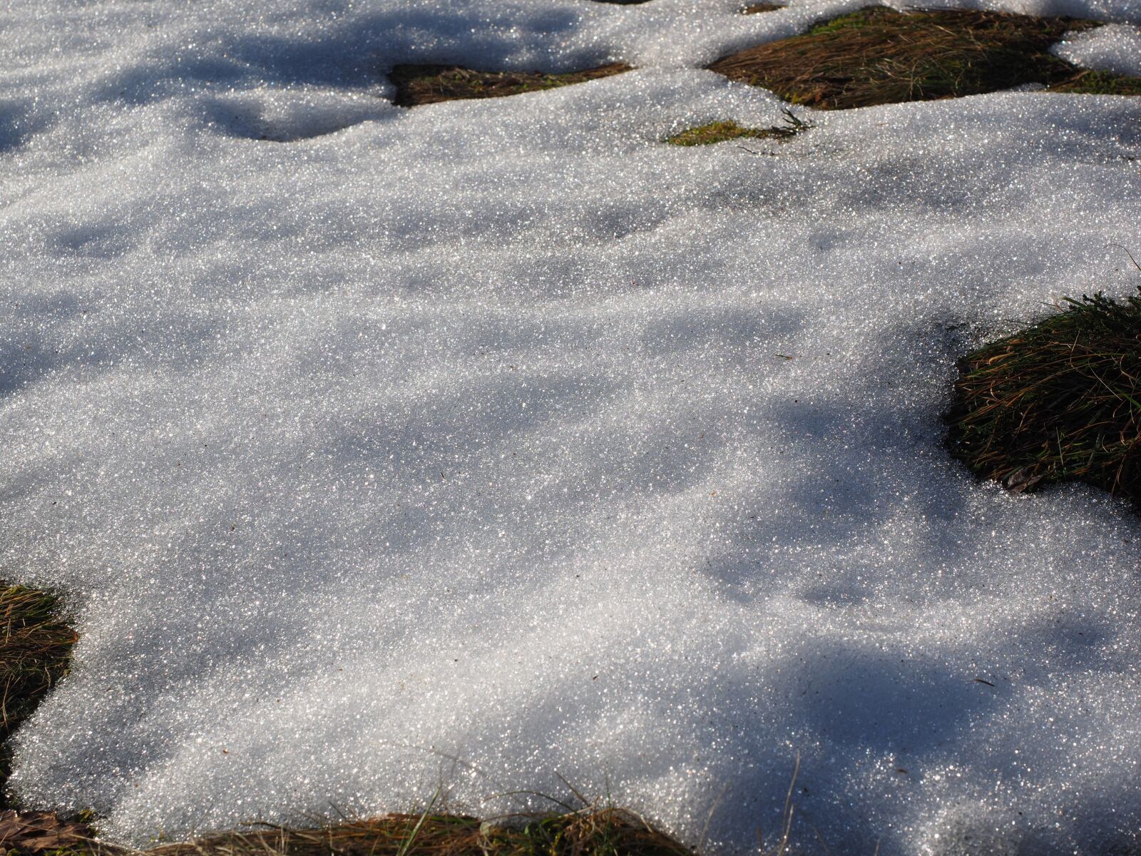 Olympus OM-D E-M1 + Olympus M.Zuiko Digital ED 12-40mm F2.8 Pro sample photo. Meadow, snow, snow melt photography