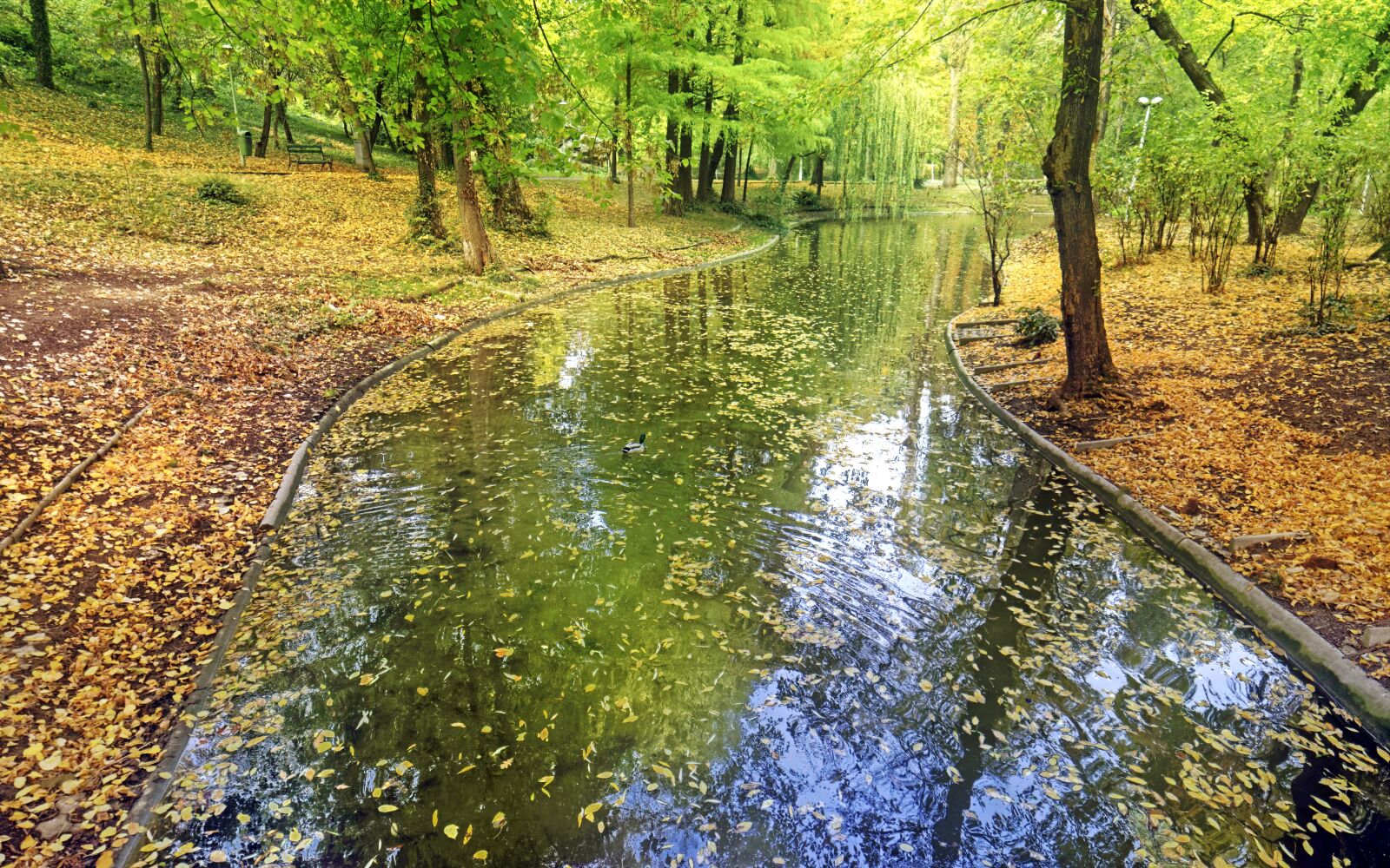 Nikon D5300 sample photo. Landscape, nature, autumn photography