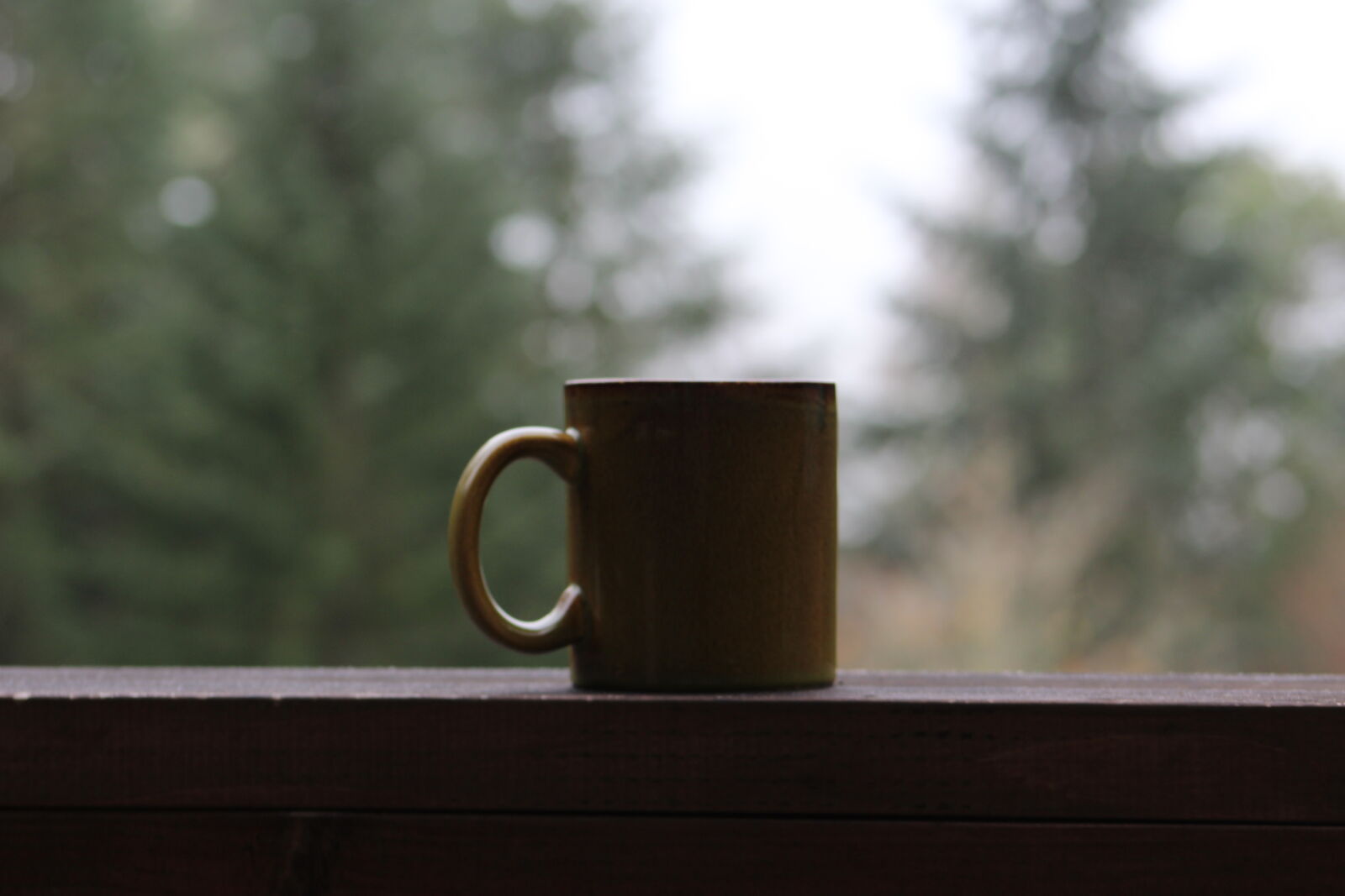 Canon EF 75-300mm f/4-5.6 sample photo. Coffee, mug, porch photography