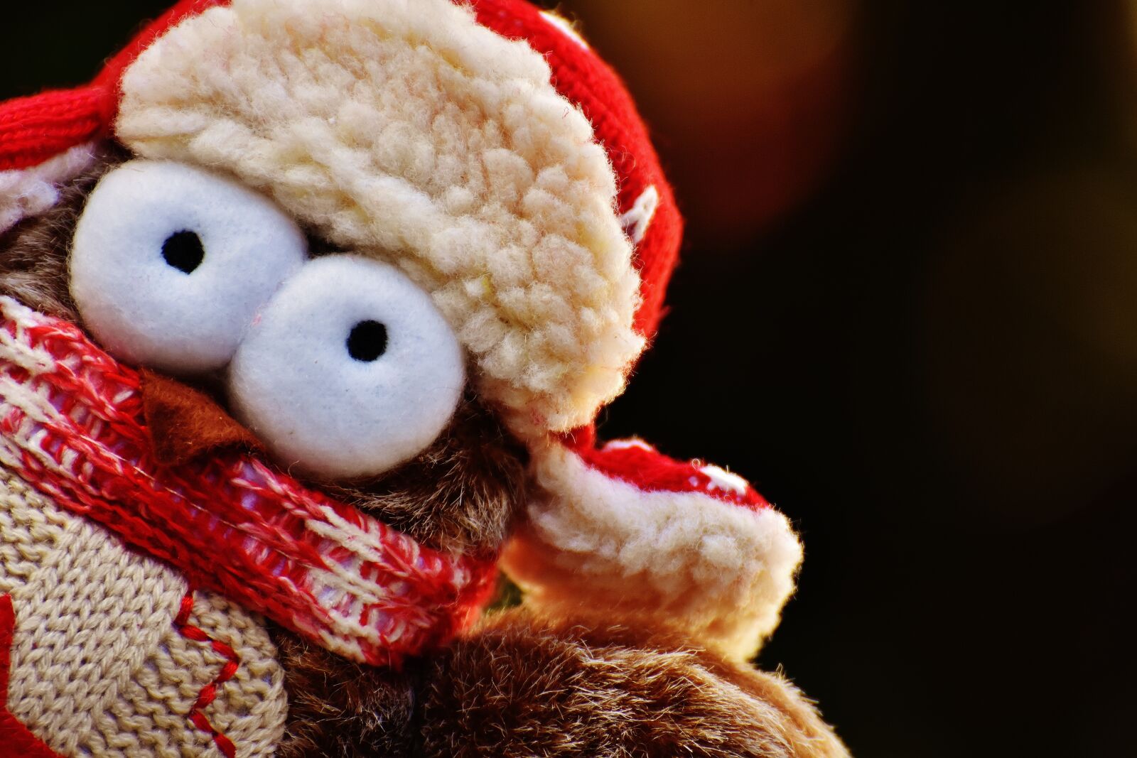 Nikon D7200 sample photo. Owl, plush, winter photography