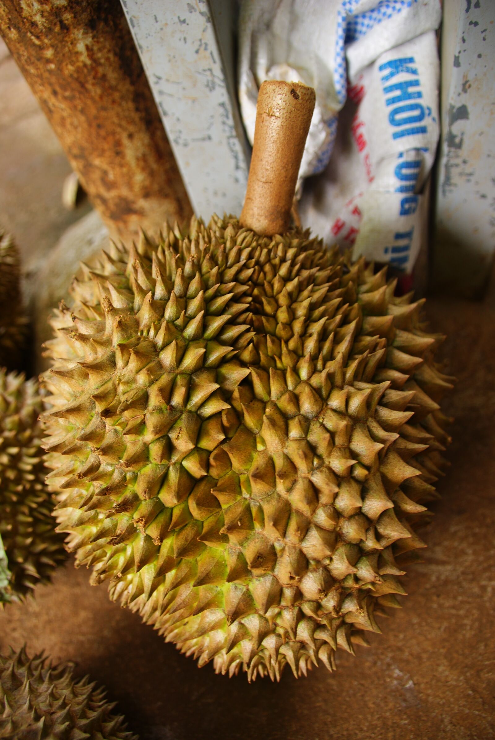 Sony Alpha DSLR-A230 sample photo. Durian, exotic, fruit photography