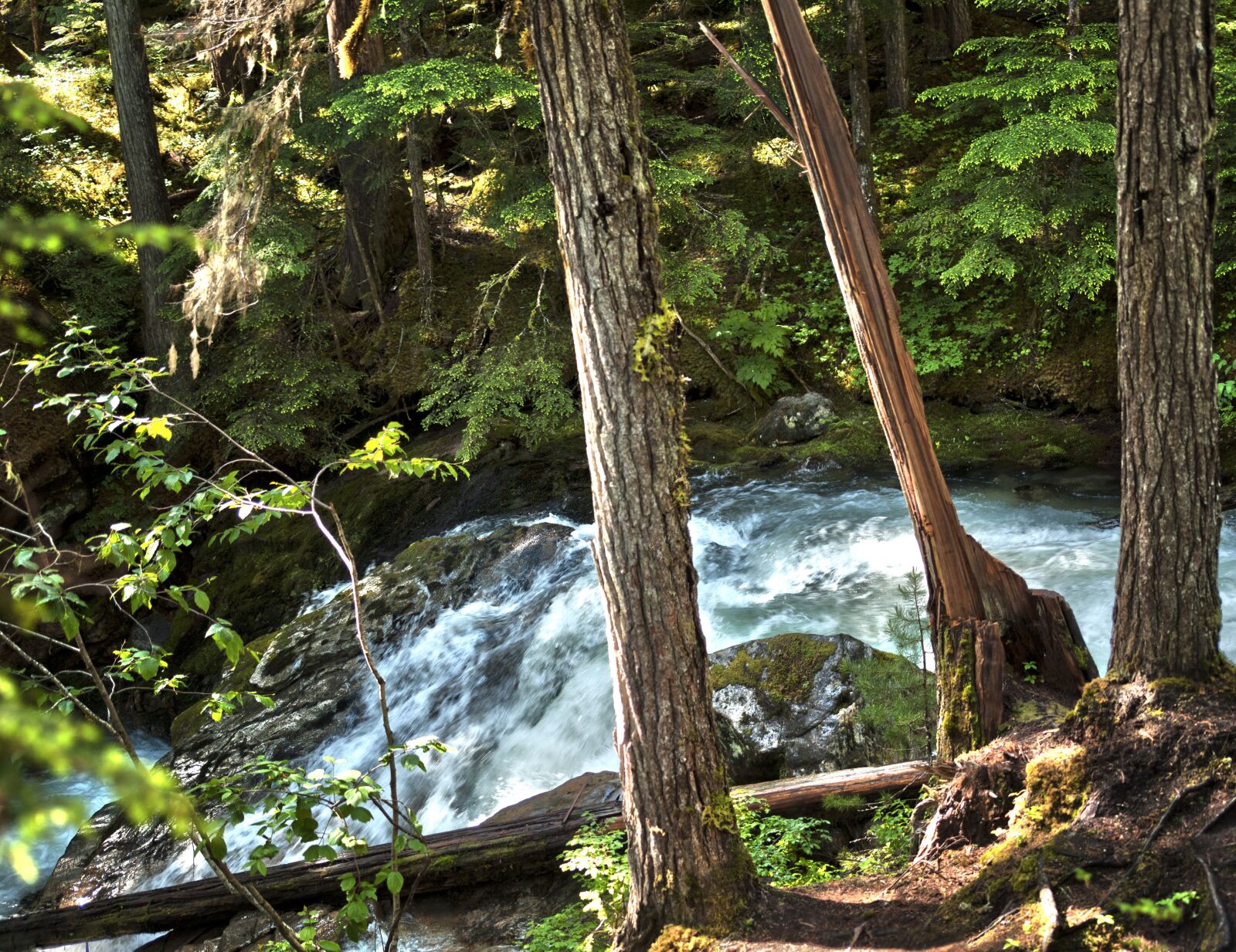 Nikon D50 sample photo. Trees, waterfall, bright photography